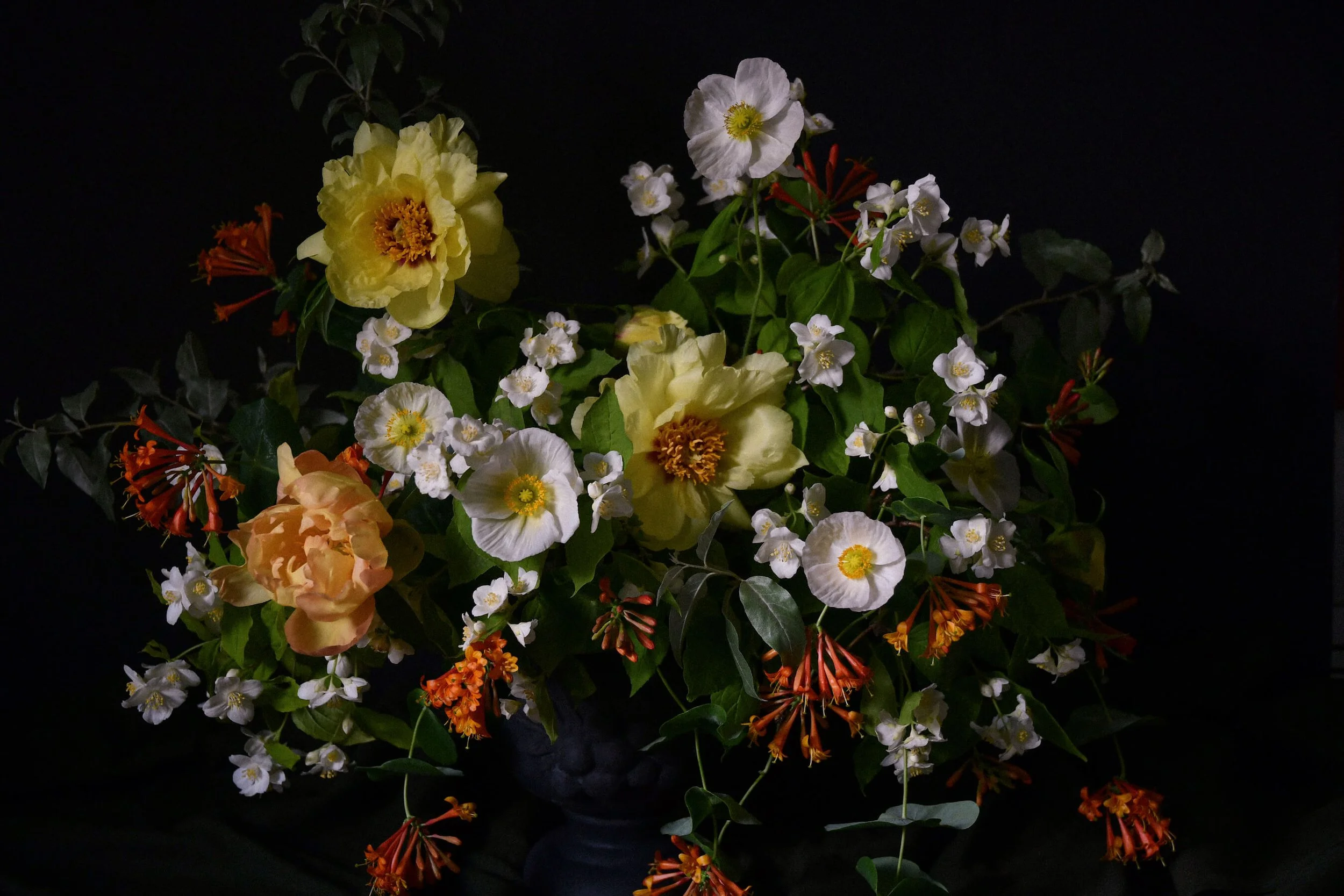 Opulence de juin.jpeg