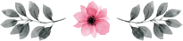 AboutFlowers.png