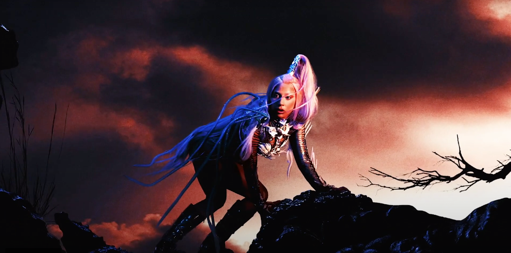 Screen Shot 2020-07-24 at 3.49.24 PM.png