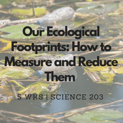 Our Ecological Footprints: How to Measure and Reduce Them