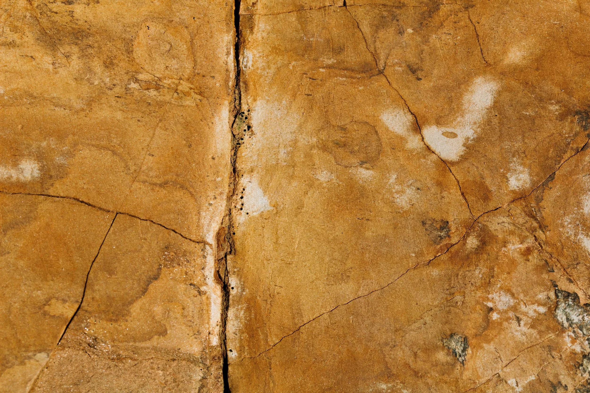 Takes Money to Save Money. True? 