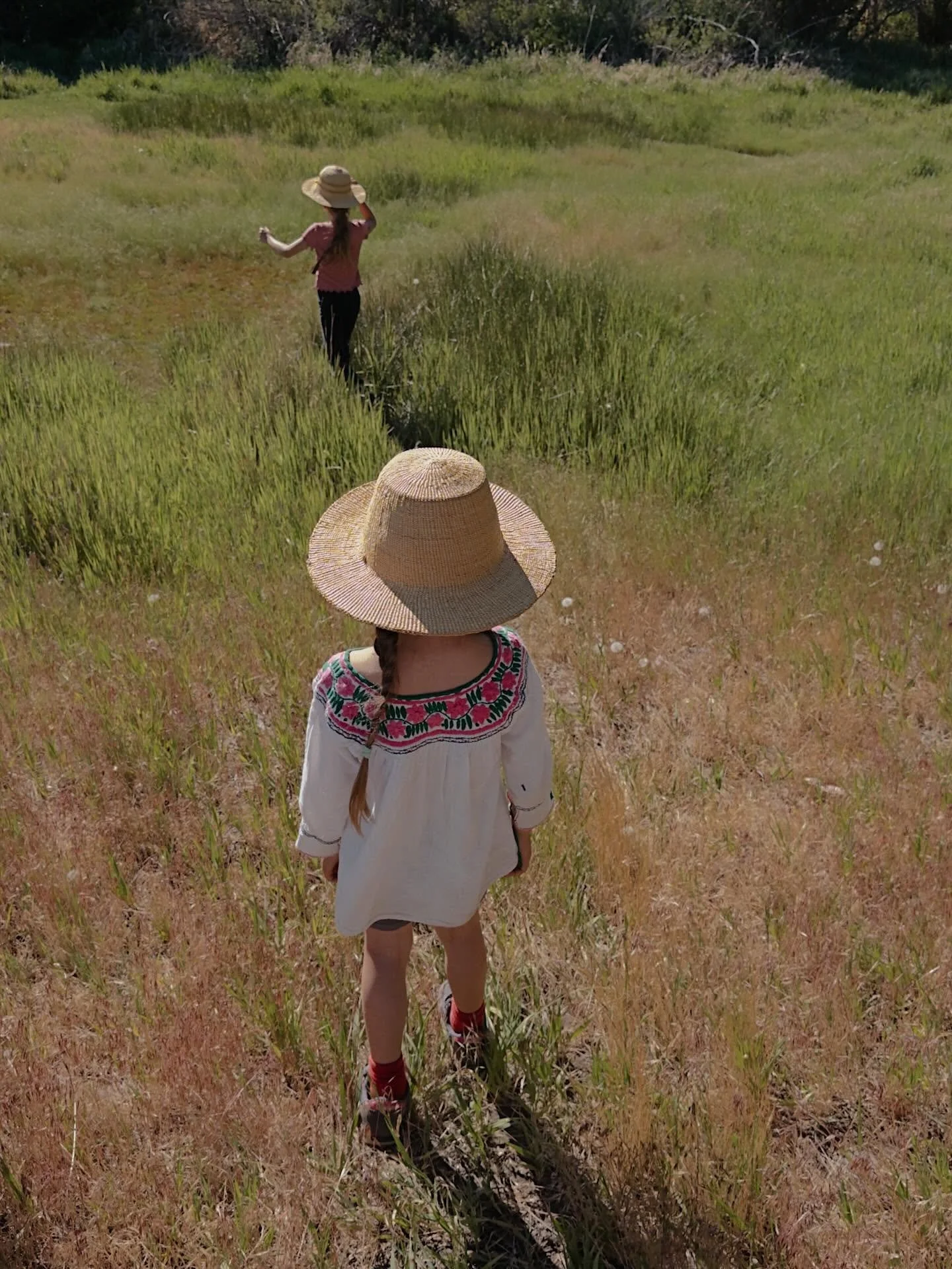 Harvesting nettle is my kind of after school activity. Finding the veins of moisture that travel through the high desert and give the gift of minerals and medicine pulled from the soil. Talking the girls through how to avoid getting stung and then wh