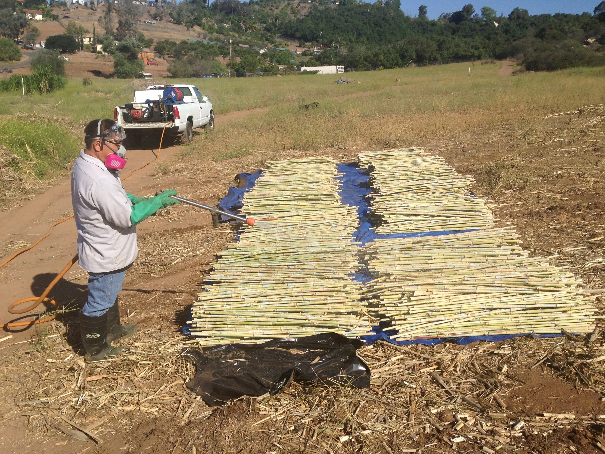 Treatment for plant material needing certification leaving county, state, and country.