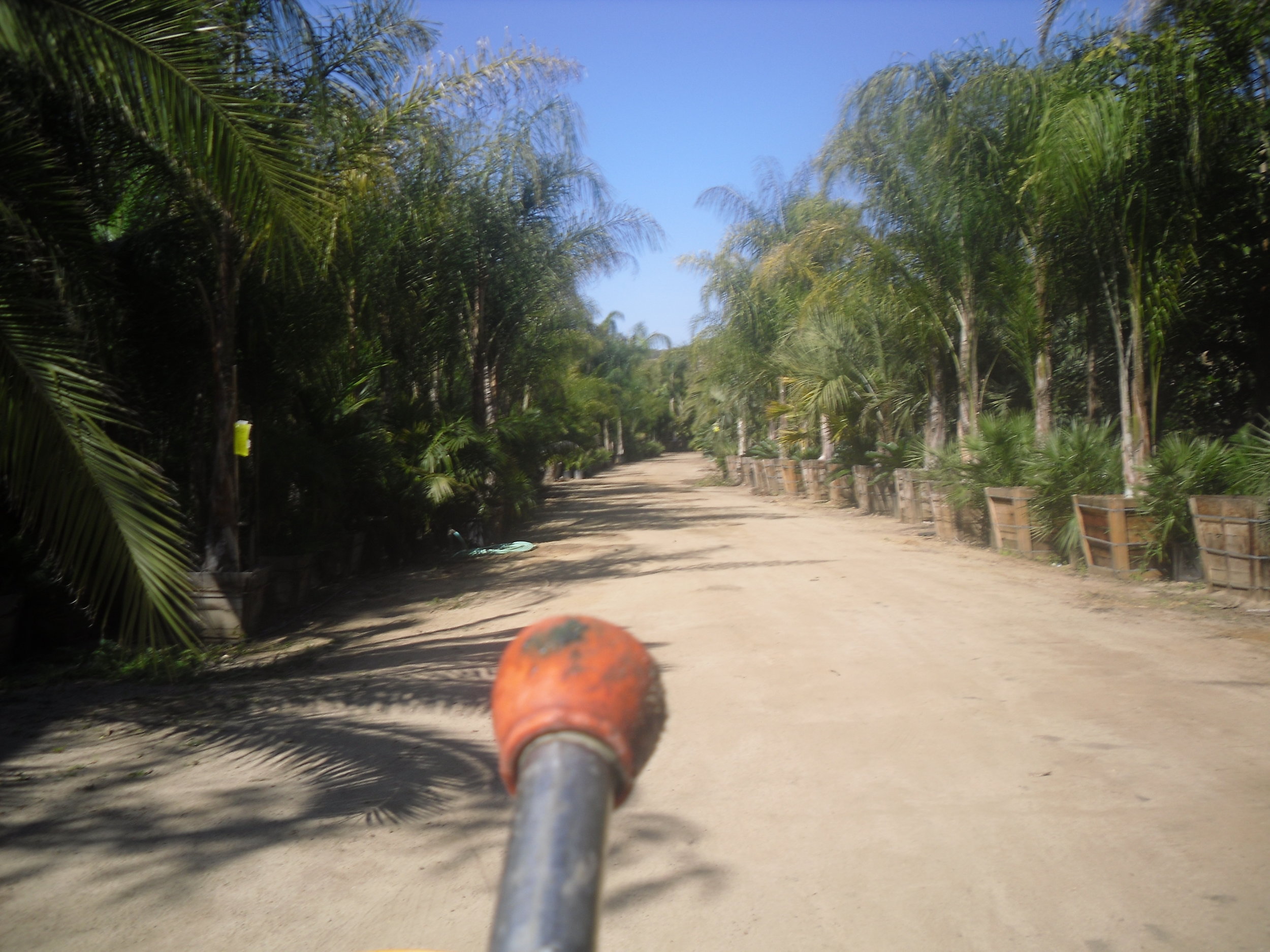 Tree nurseries.
