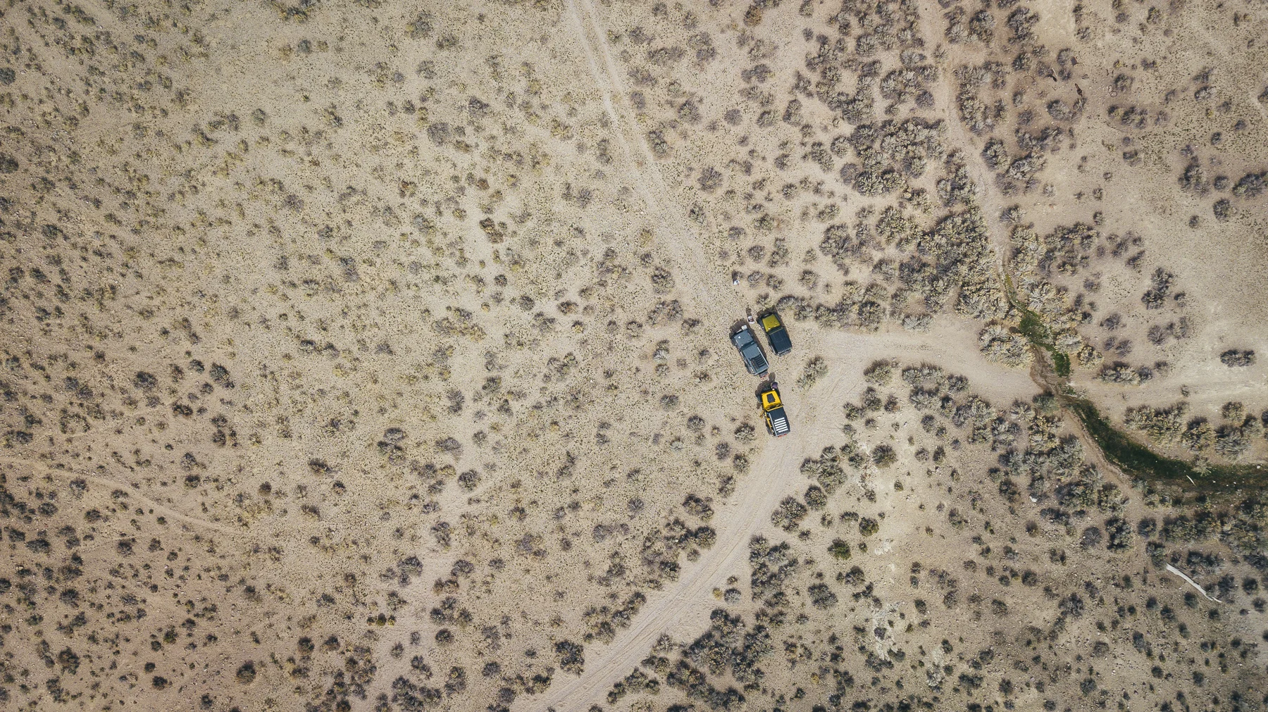 Exploration, Feeling the Call of the Wild