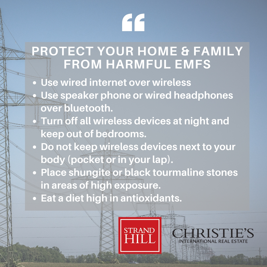 SHP - EMF Protection.jpg