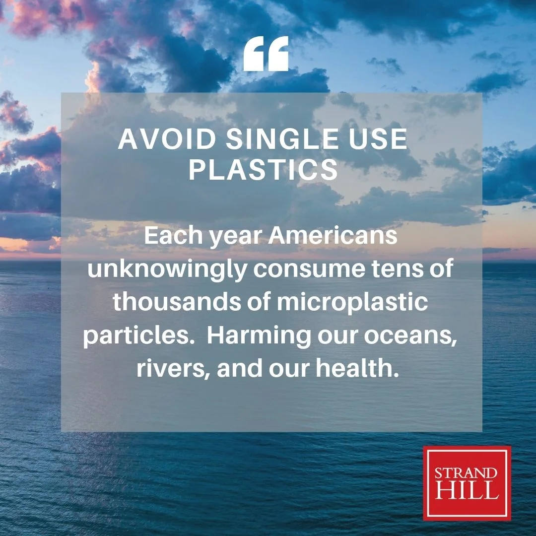 SHP Microplastics.jpg