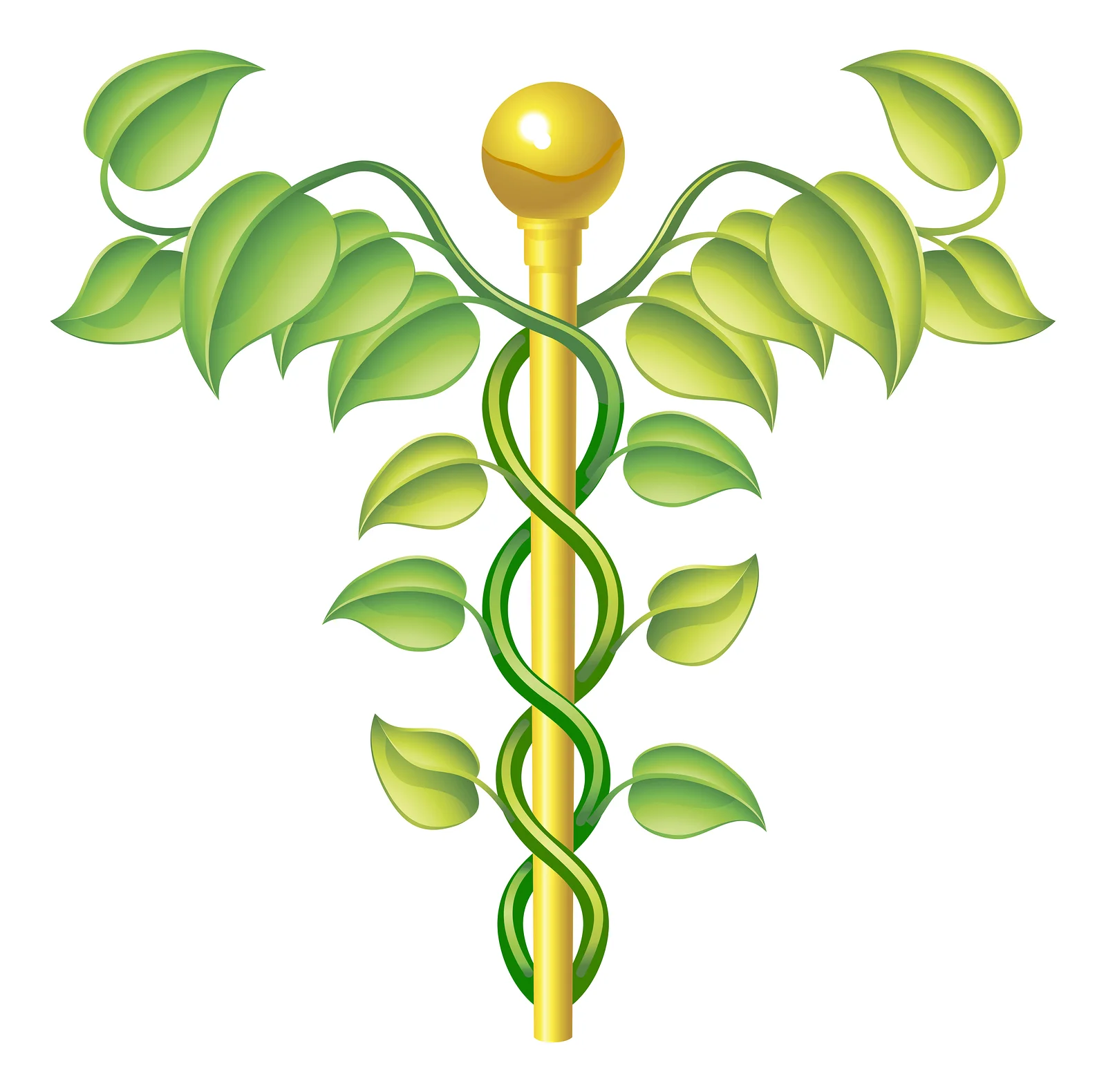 bigstock-Natural-Caduceus-Concept-23877887.jpg
