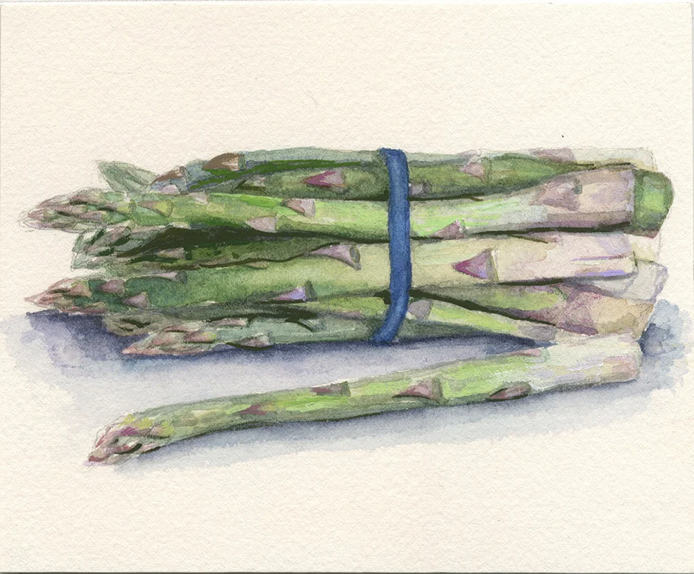 Asparagus