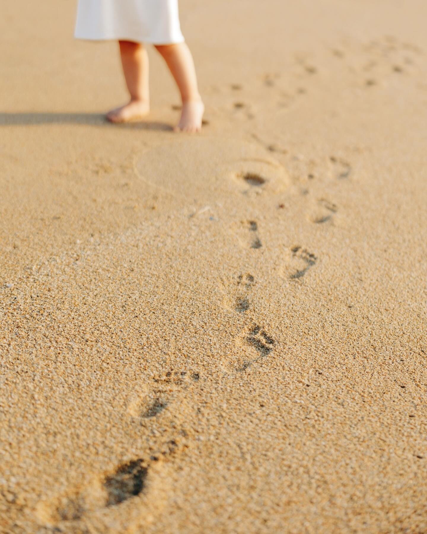 Finally feeling like I can catch my breath and share all of the fun I&rsquo;ve had this past season, like this sweet session with the P family ✨ Nothing makes me happier than a perfect sunny day at the beach!