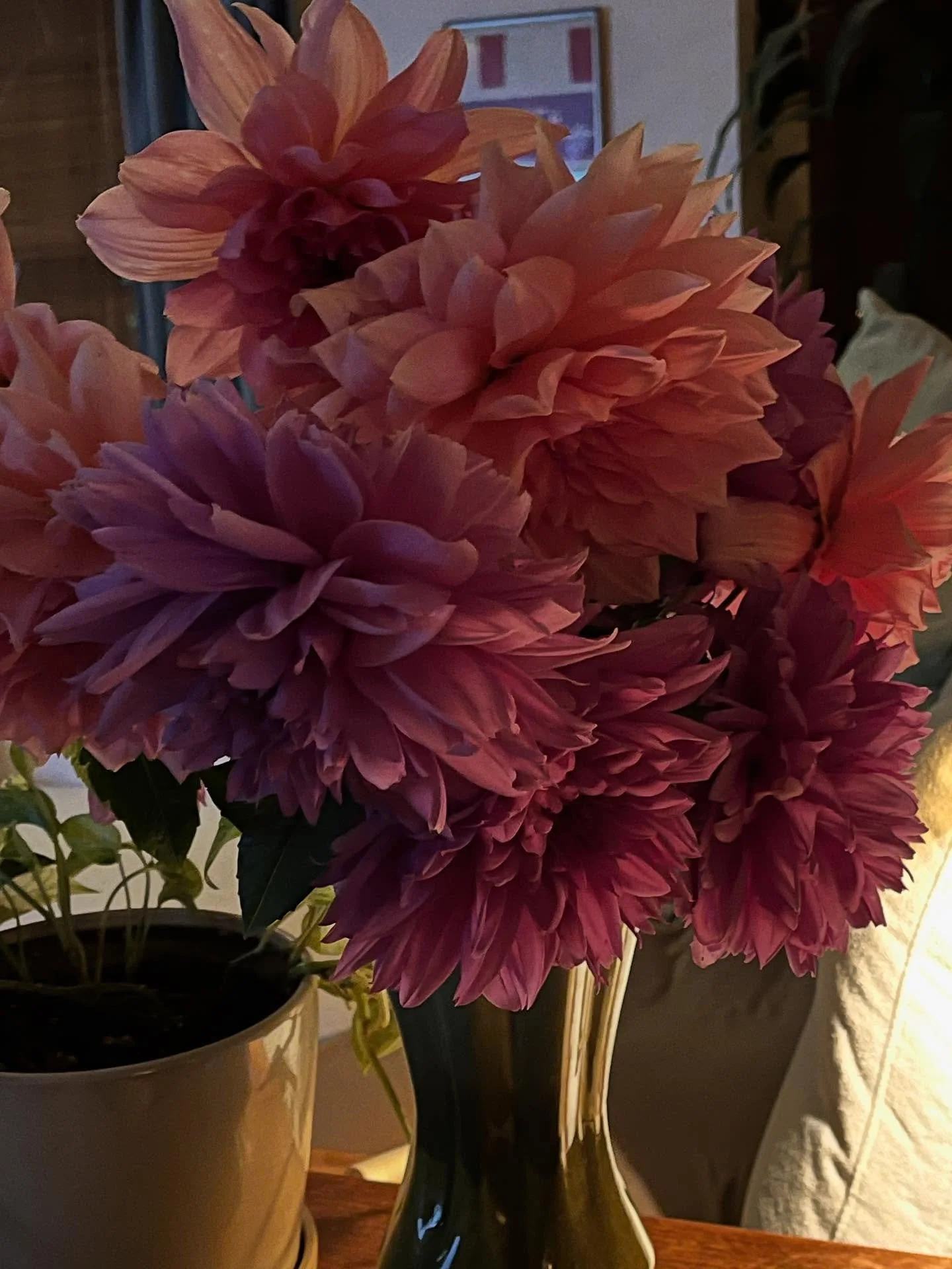 Ran out to cut the dahlias before the torrentials this weekend and best bouquet of the YEAR. #dahliasinlateoctober