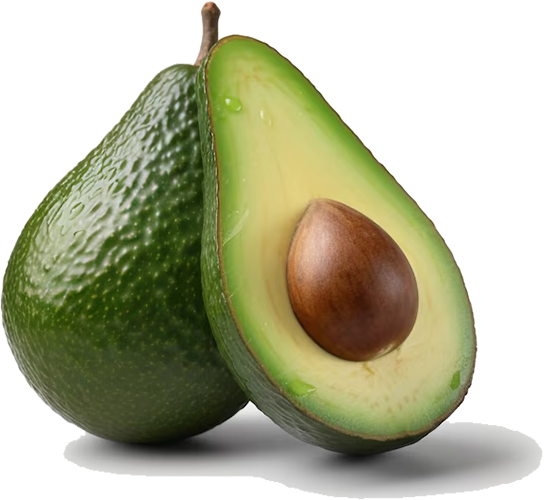 AVOCADO.webp