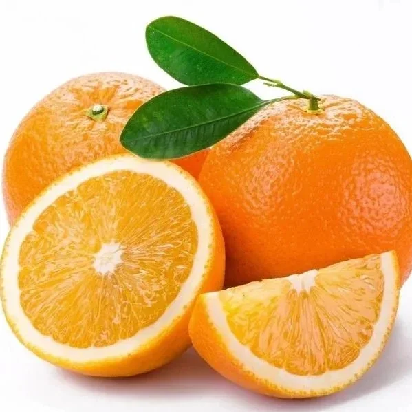 SWEET-ORANGE.webp