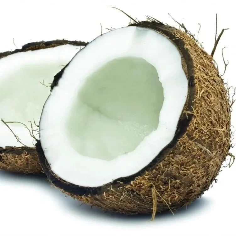 COCONUT.webp