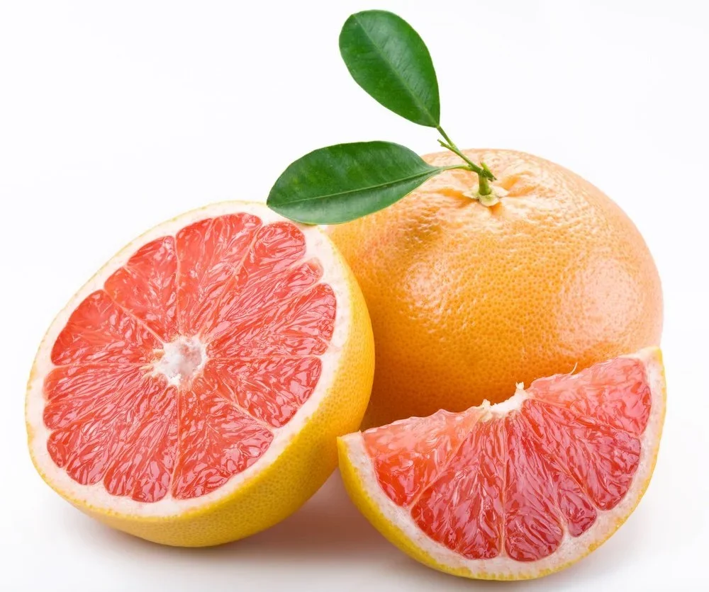 Grapefruit-large.webp