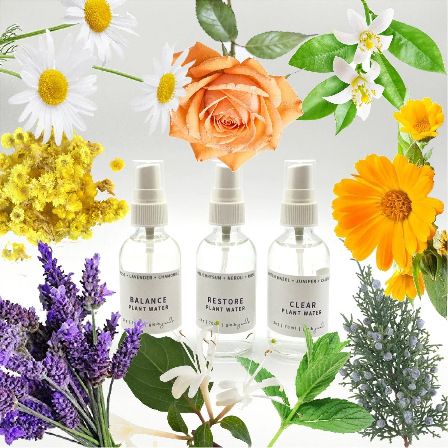 PLANT+FLOWER-POWER(ED)
Hydrosols are the aromatic waters produced during the steam distillation of plants &ndash; technically a glorious byproduct of essential oil extraction. They're gentle enough to apply directly to skin, making them a perfect cho