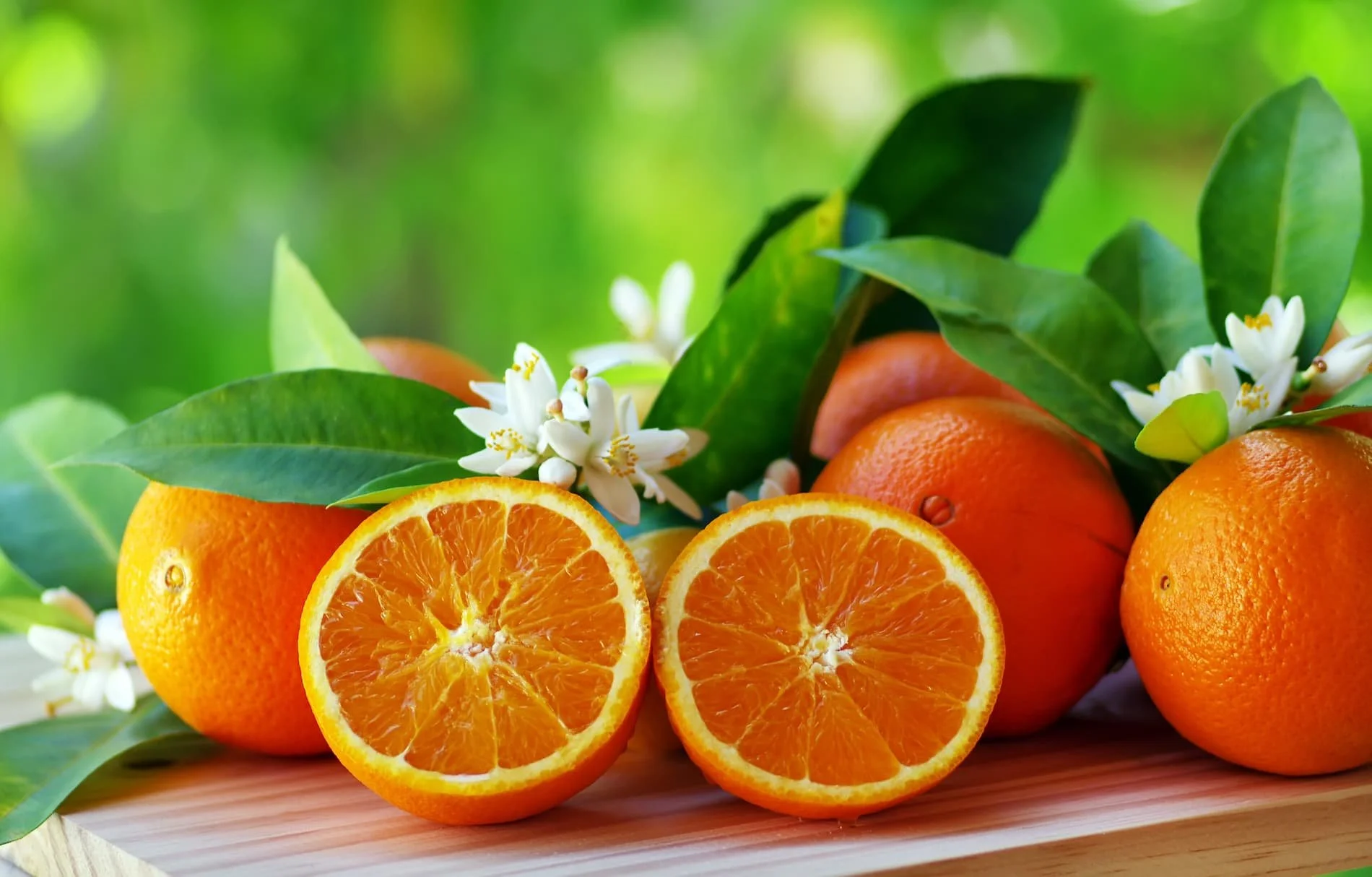 AdobeStock_82241000.jpg