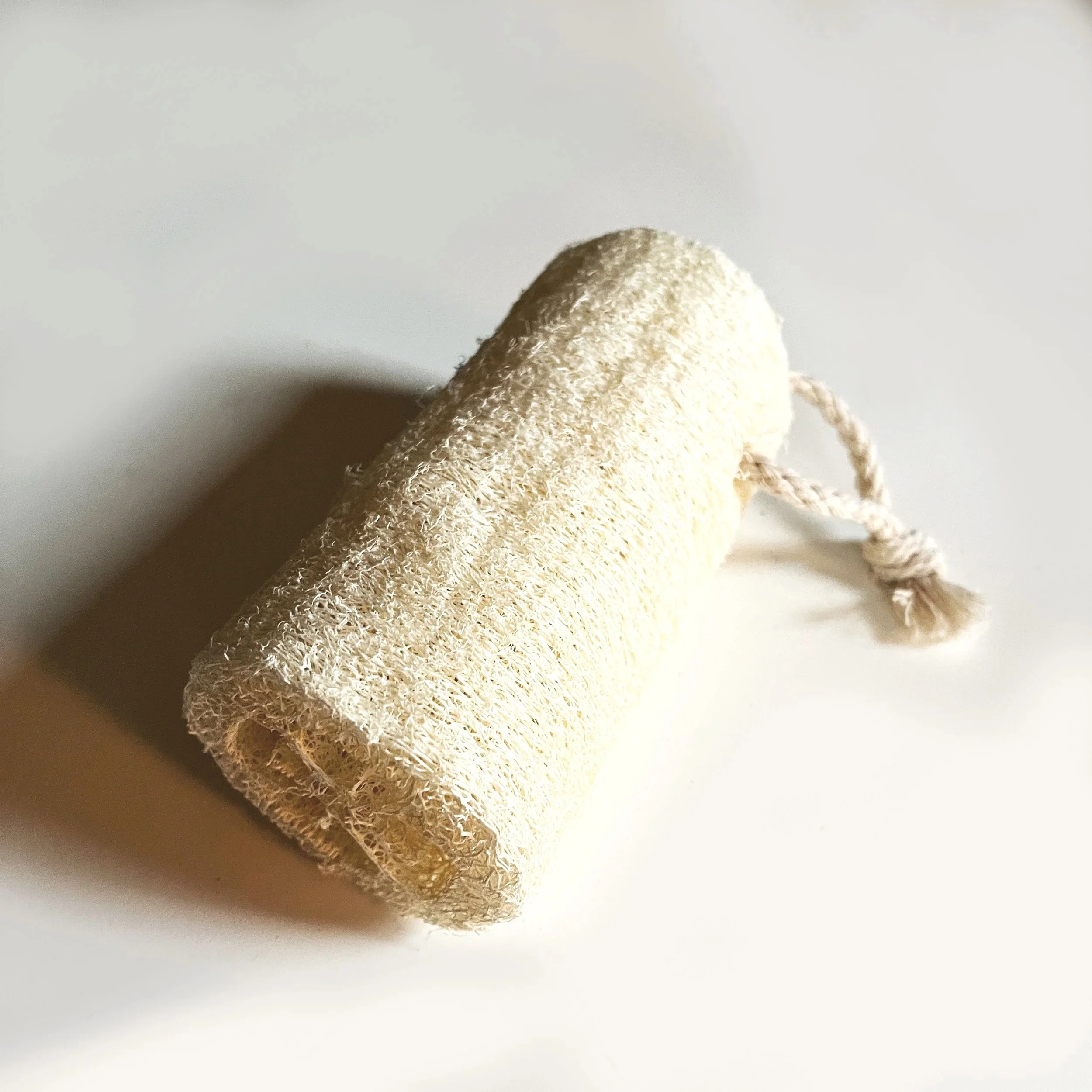 GBG_Loofah.jpg