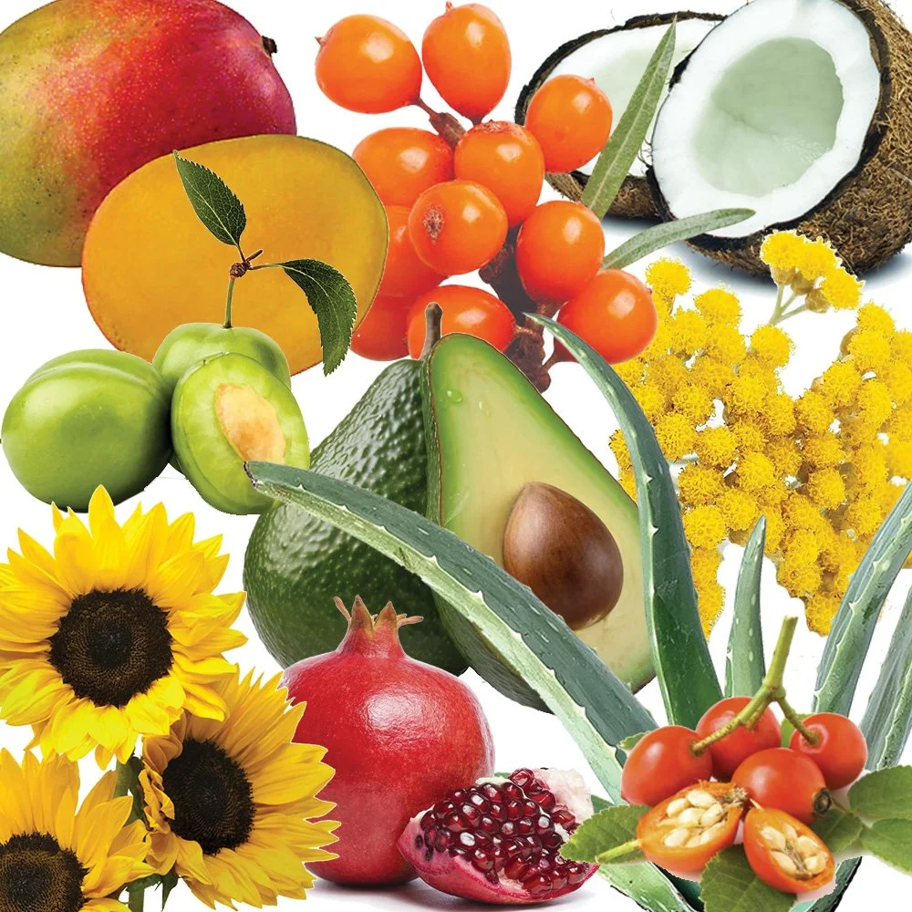 BOTANICAL-BARRIER-REPAIR-PLANTS.jpg