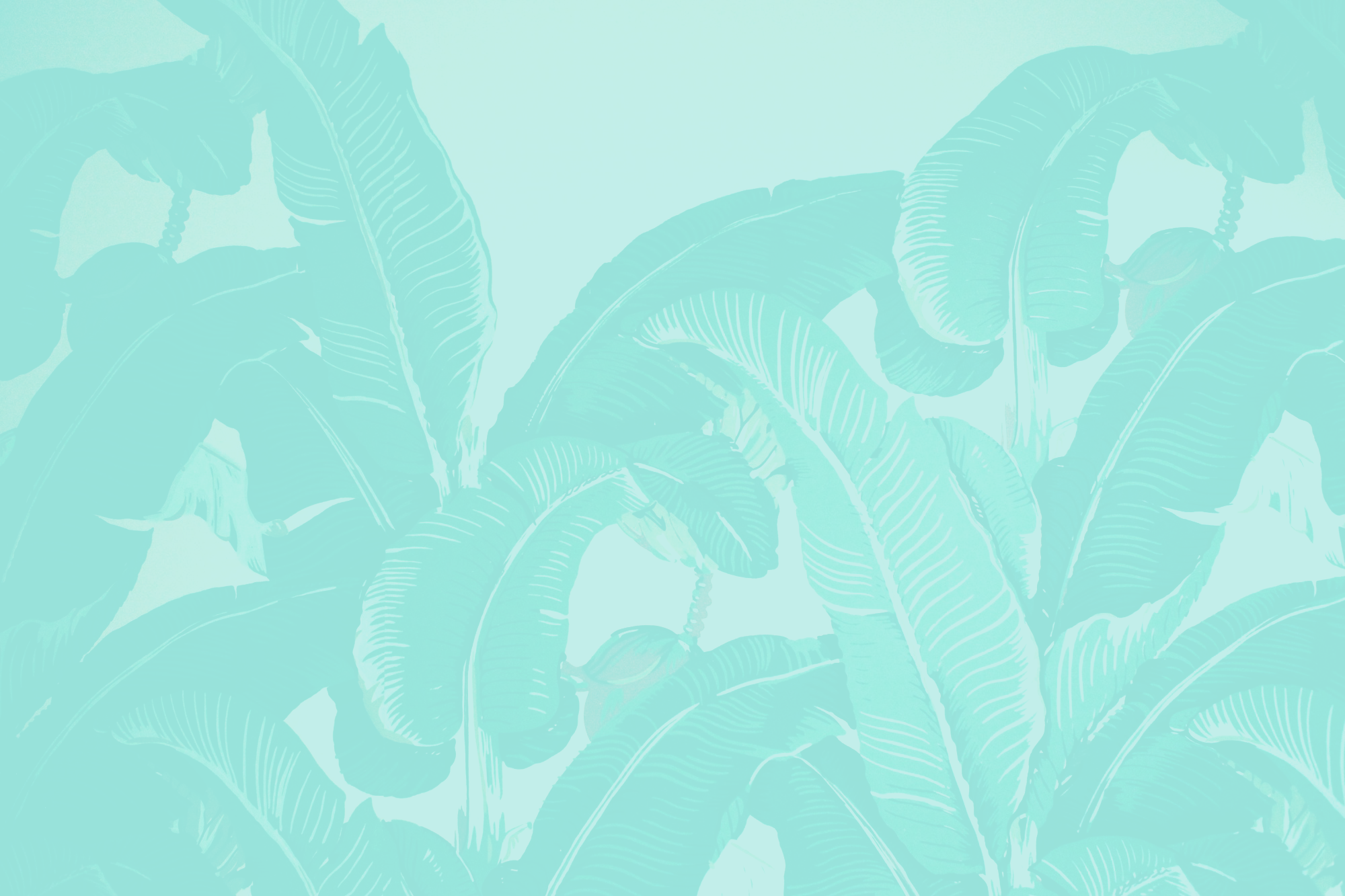 New-Leaf-Jungle-Background-.png