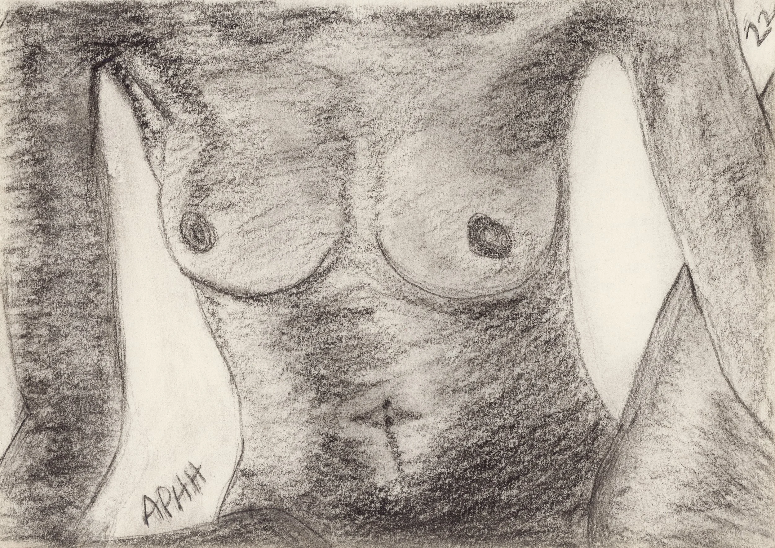 Torso Study 1 — $950 (print $150)