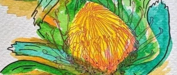 Banksia Postcard  excerpt Ashleigh Frost