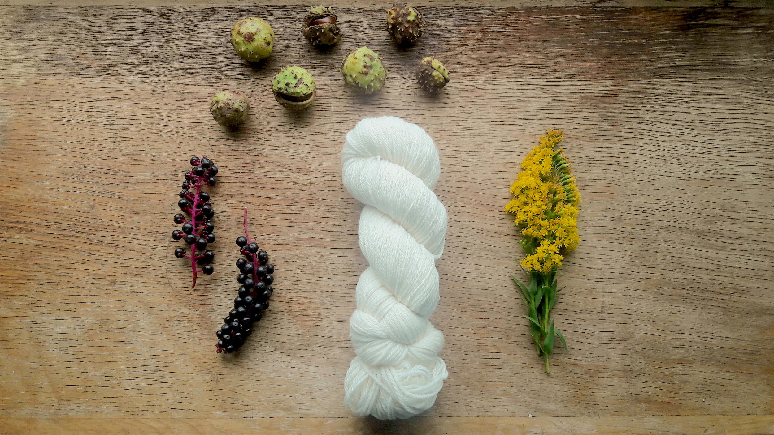 Floraandbloomfiberscover.jpg