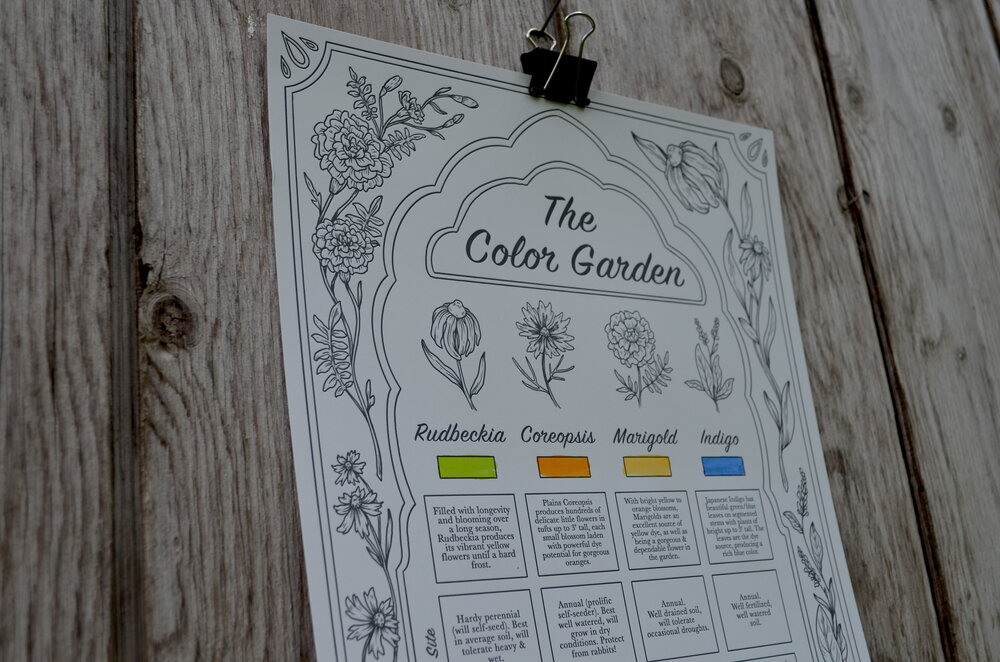 Color & Frame - In the Garden (Adult Coloring Book) [Book]