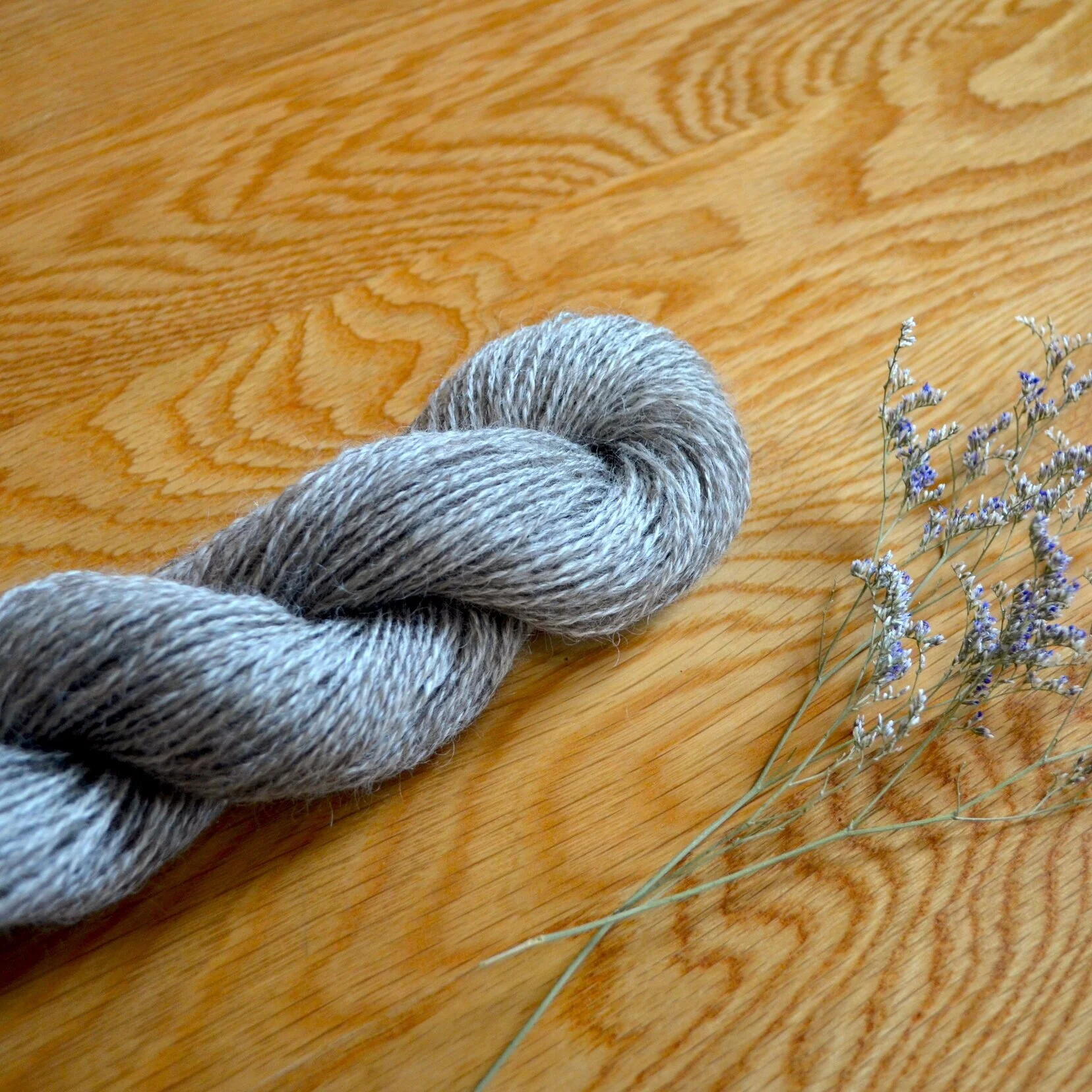 cosimo+lace2.jpg