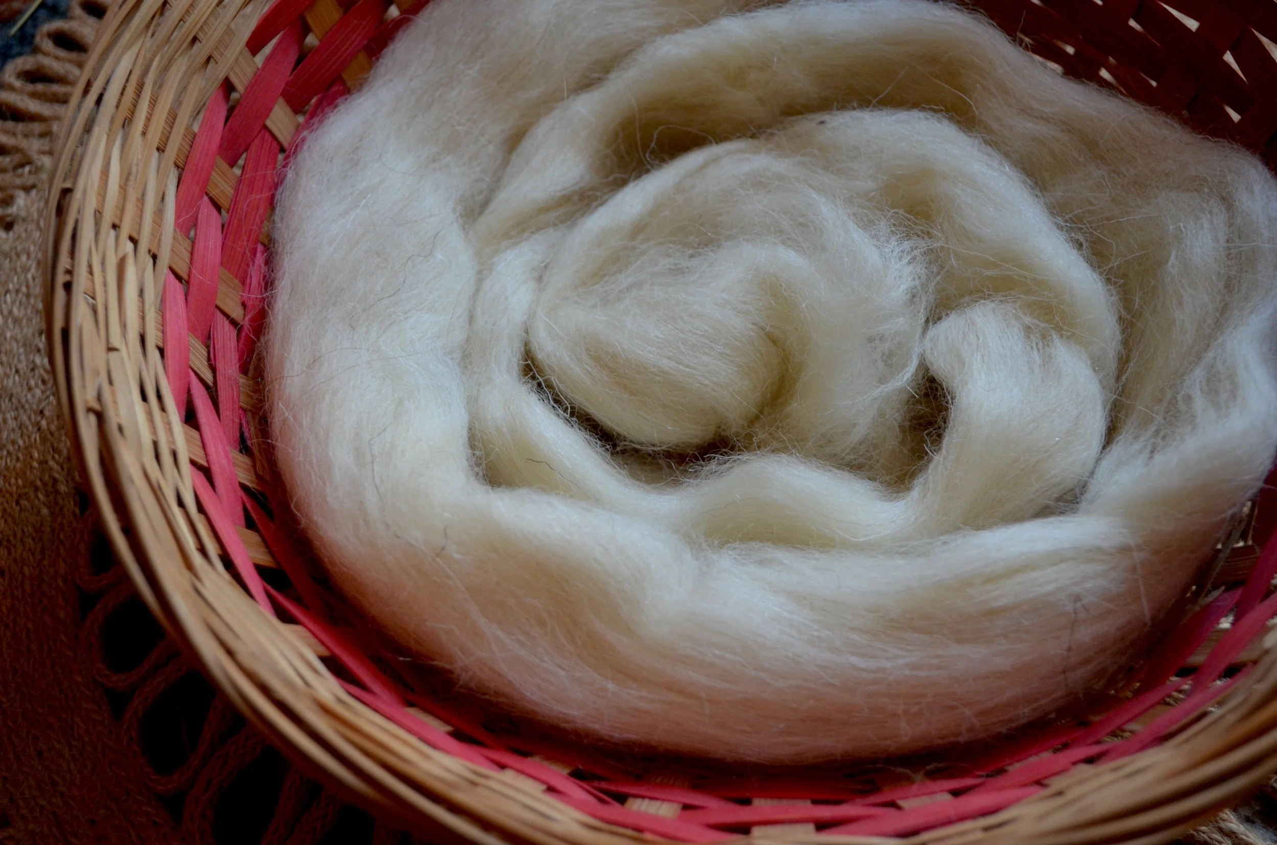 Spaelsau Roving.JPG