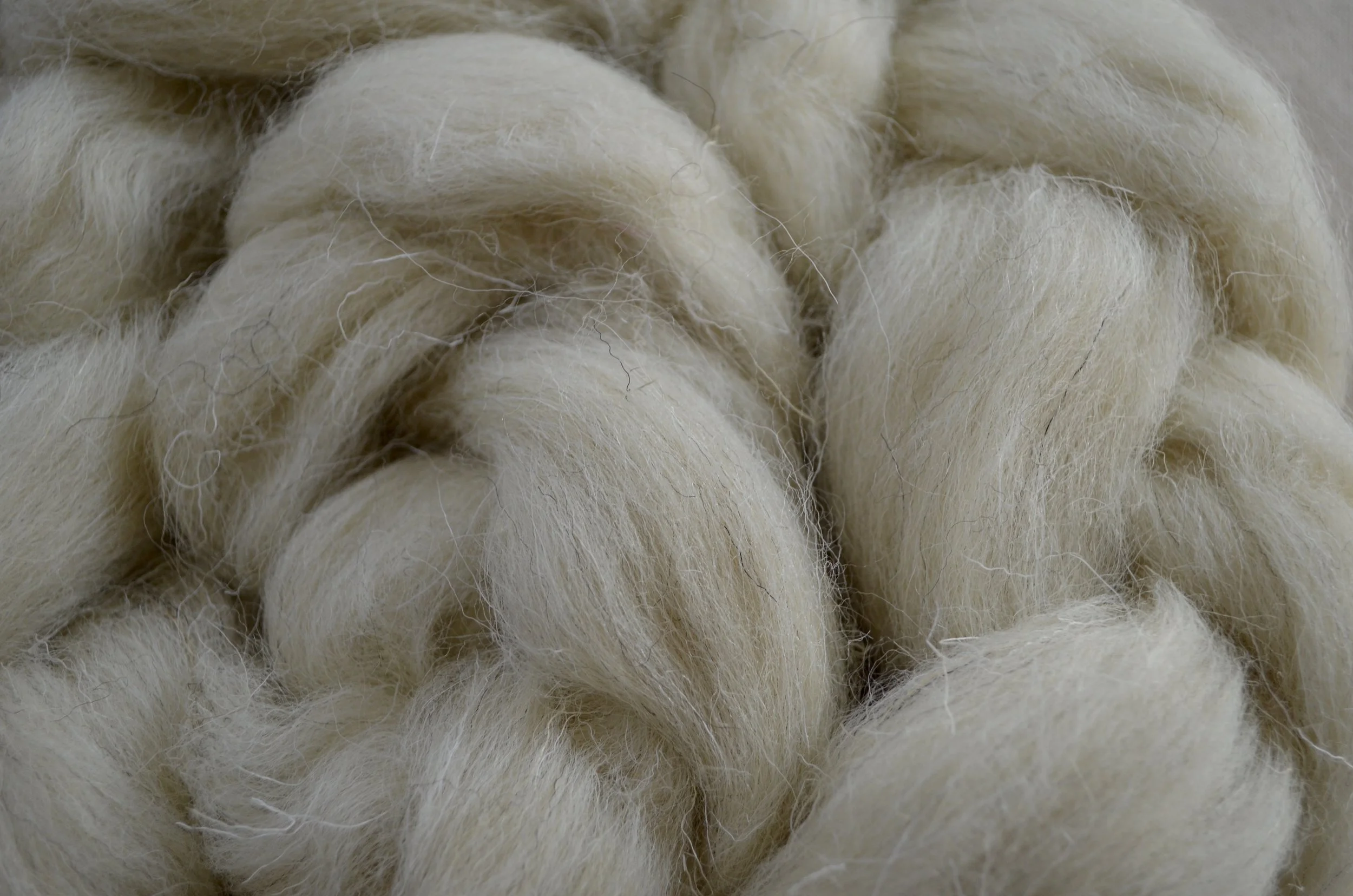 Swaledale Upclose.JPG