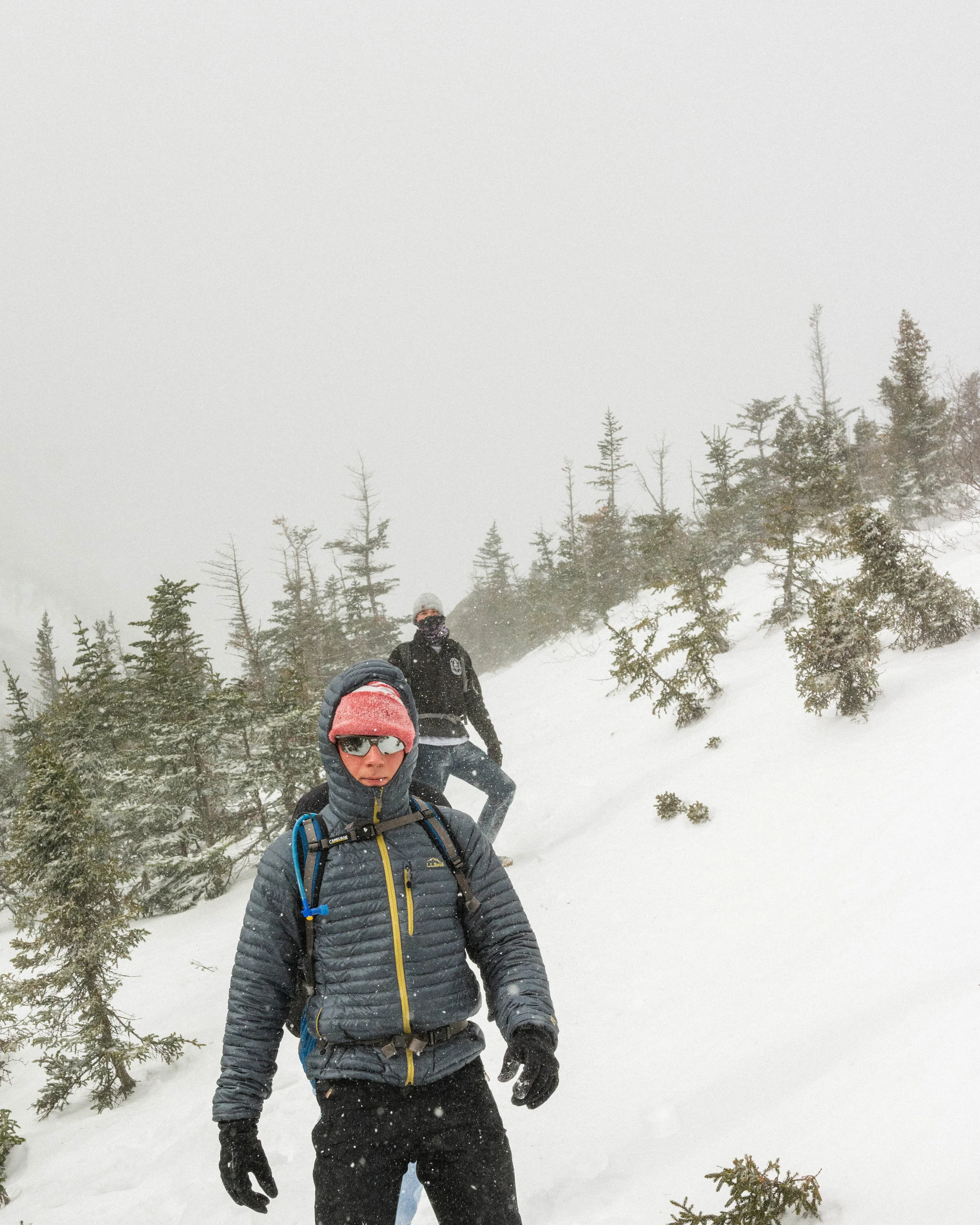_DSC9238.jpg