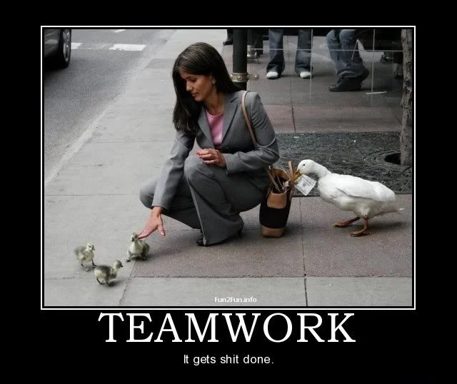 humorous-teamwork-quote-2-picture-quote-1.jpg