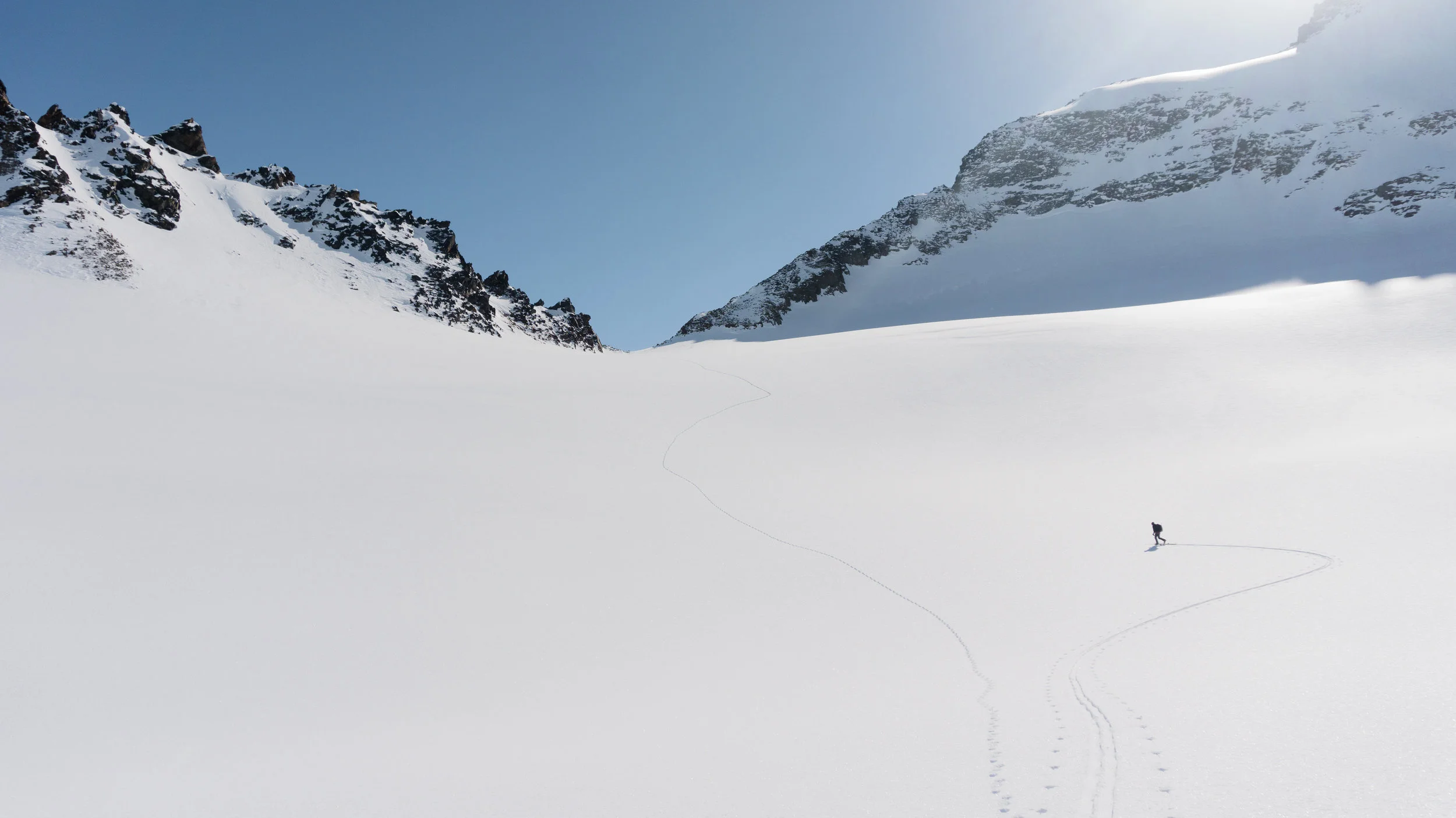 A-Osborn_Wrangells_GuloCol-02040.jpg