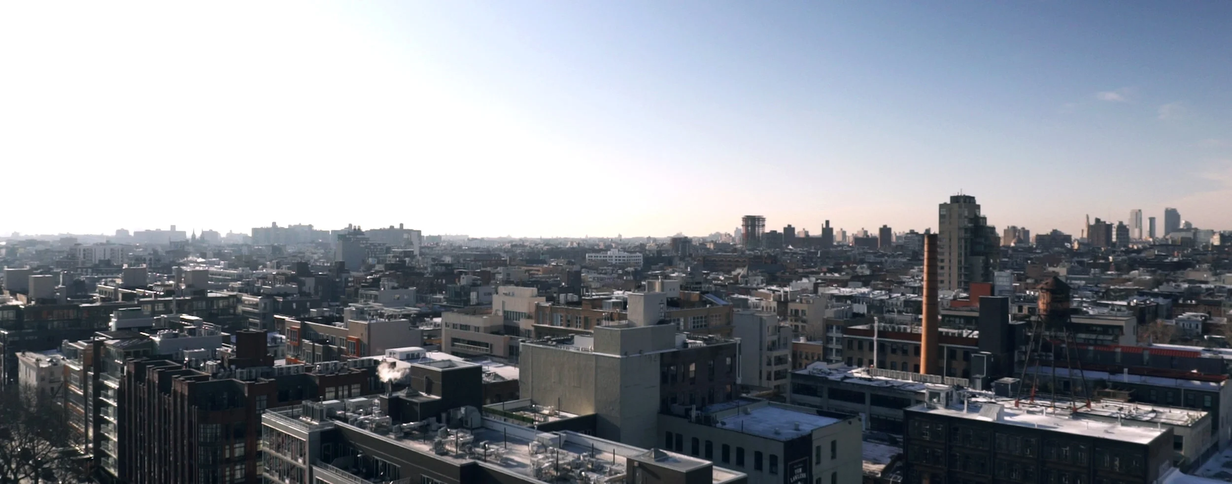 Scurry_Color_FrameSample-NYC.jpg