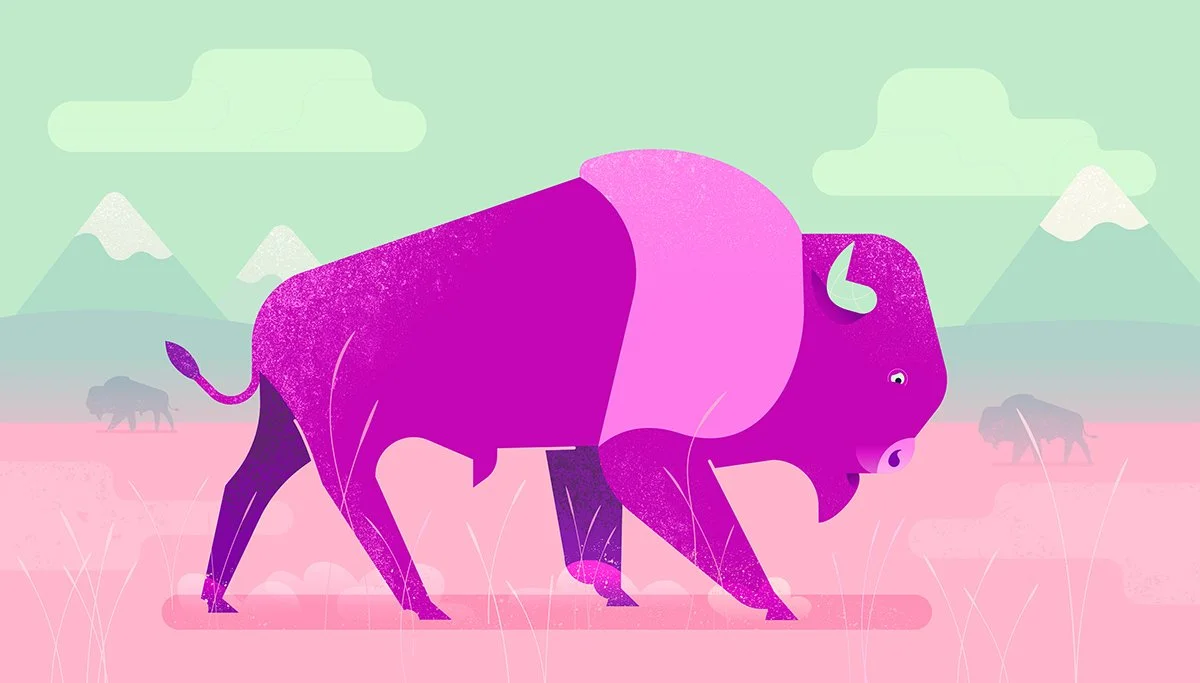 Bison_07.jpg