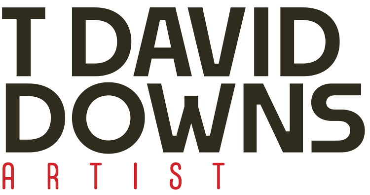 T DAVID DOWNS