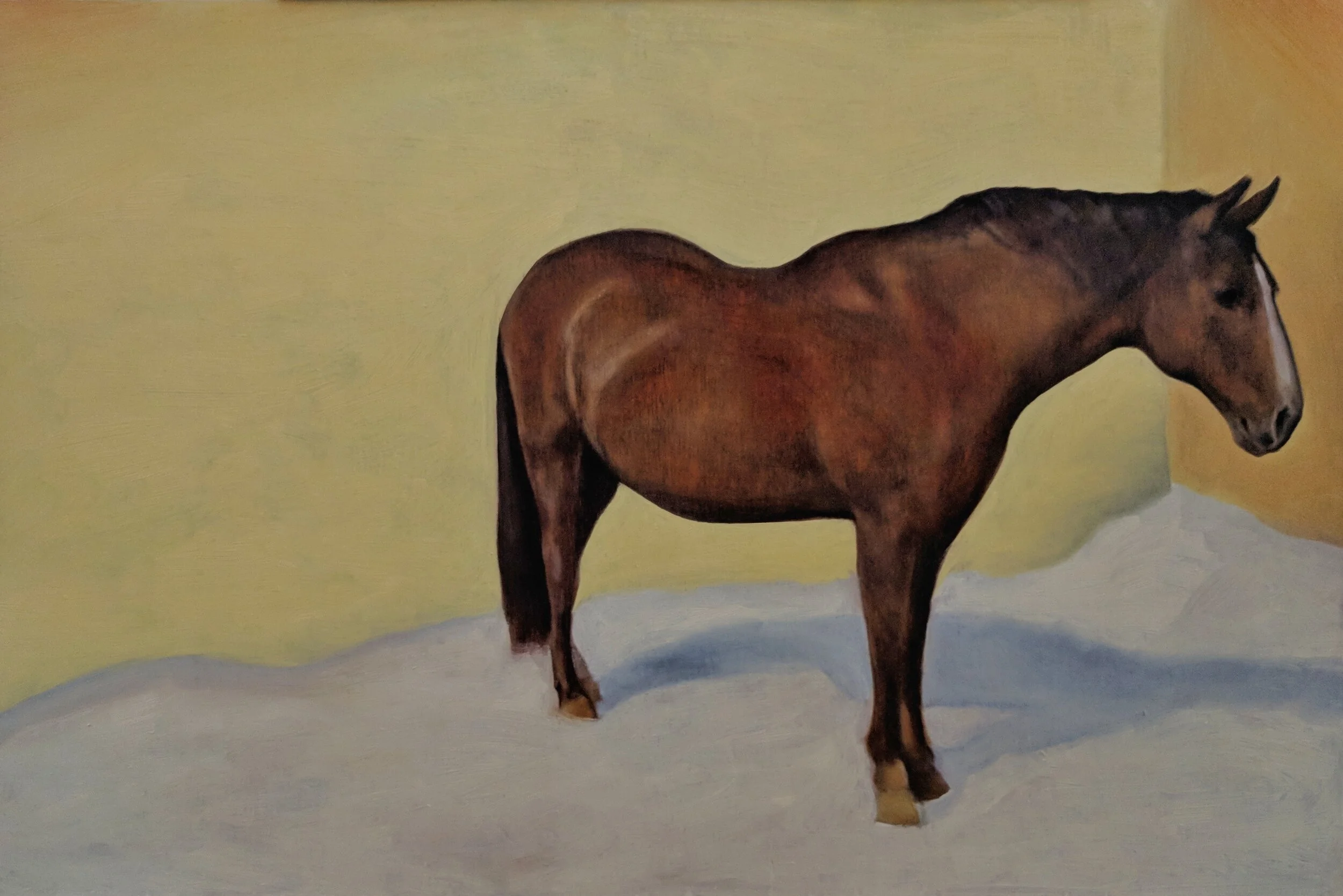 Painting of a brown horse standing on a white surface against a yellow background.