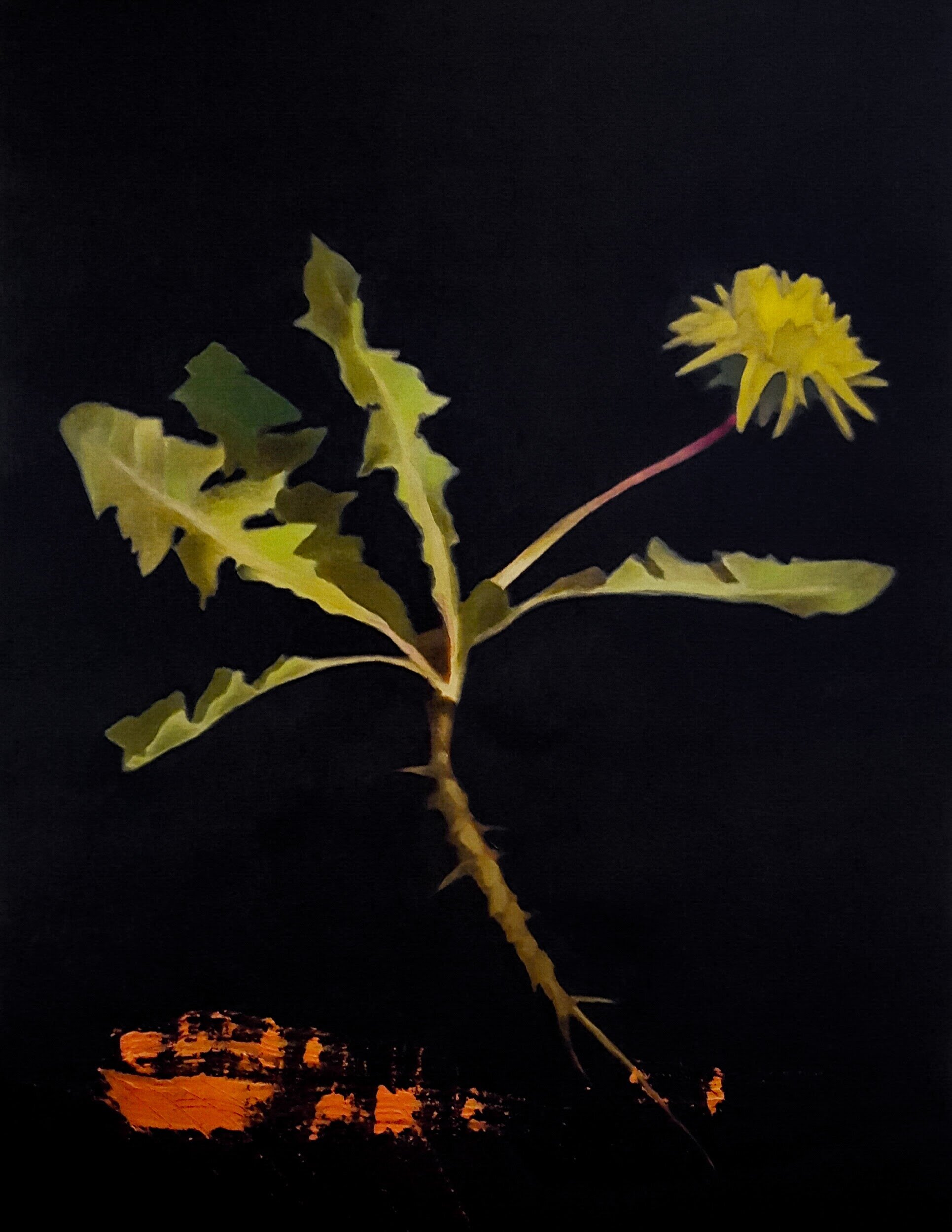A yellow dandelion flower with jagged green leaves and a thorny stem against a black background.