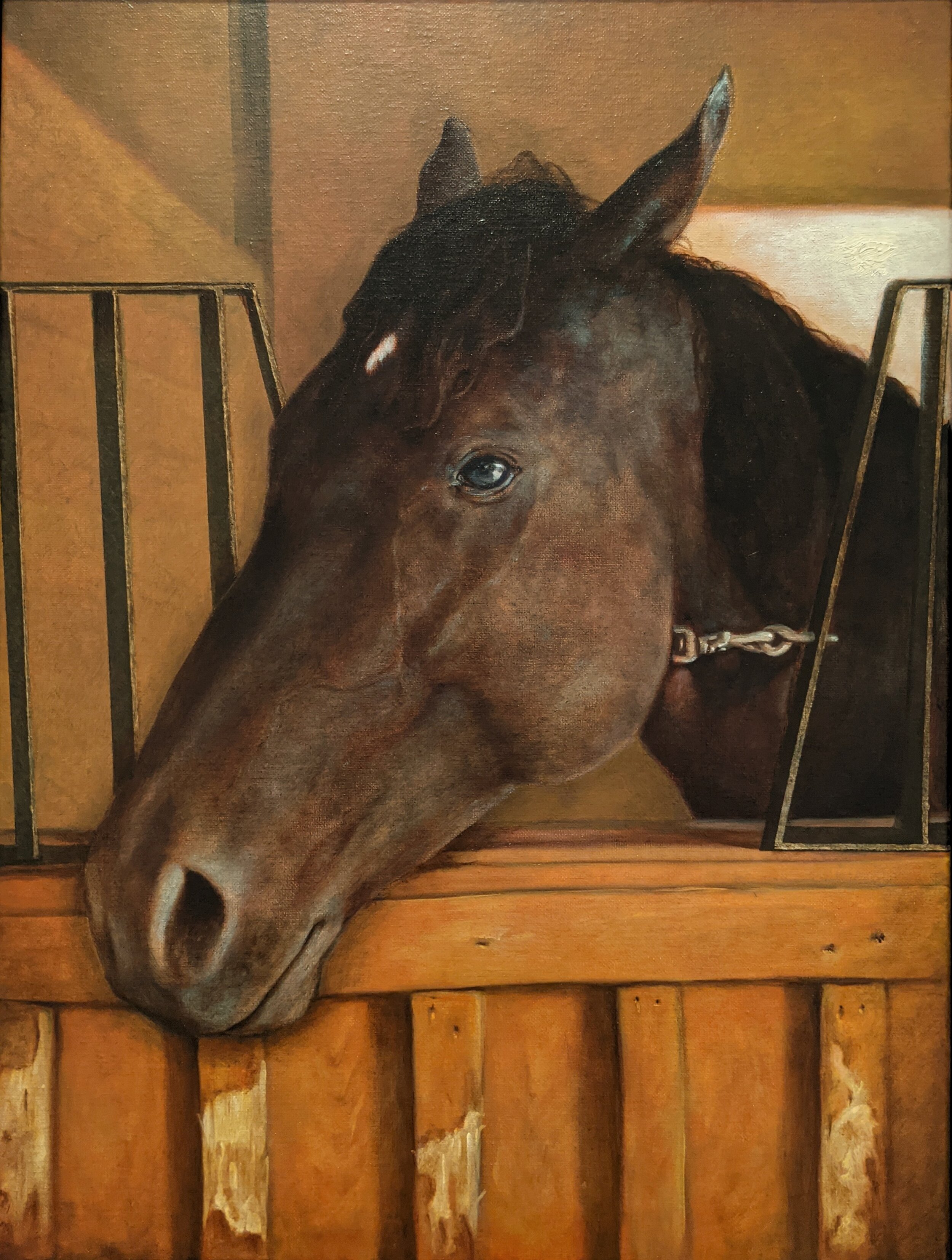 A horse with a brown coat and blue eyes looking out from a stable, with wooden walls and metal bars.