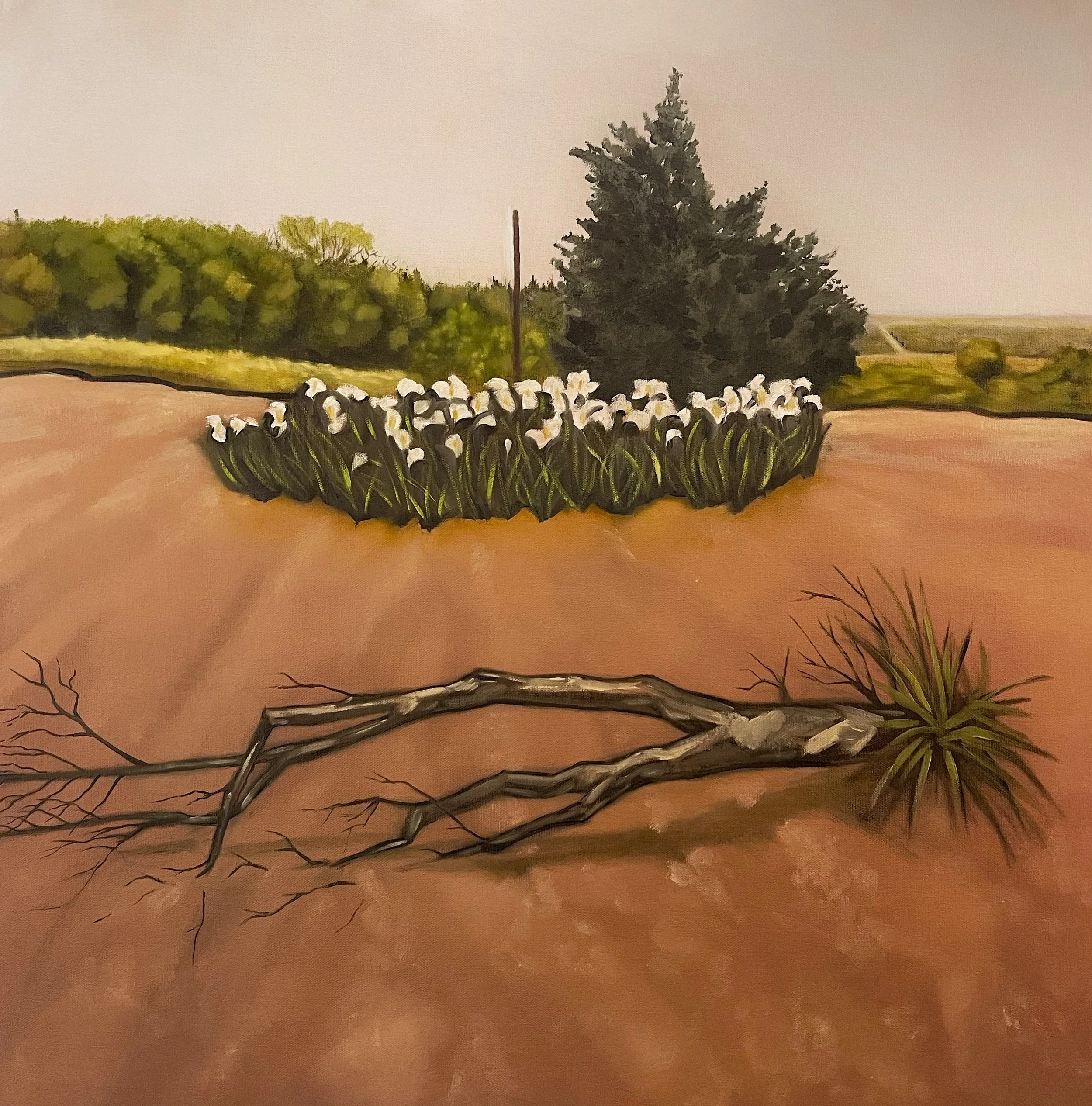 Painting of a plowed landscape with a fallen branch, a cluster of plants, a large cedar bush, and trees in the background under a cloudy sky.