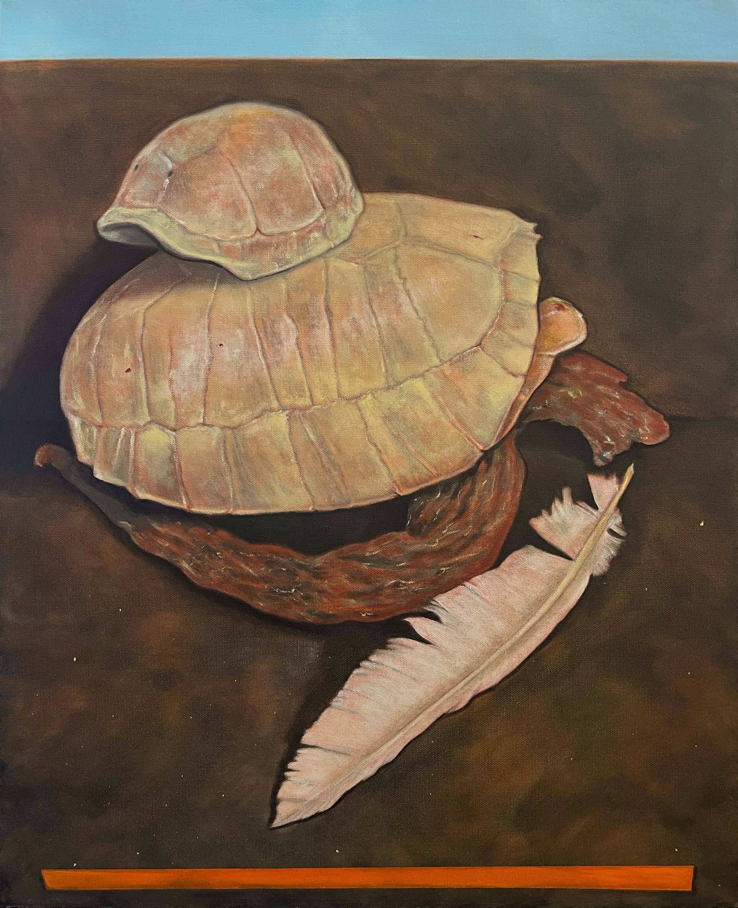 Painting of a turtle shell, brown and beige, resting on a piece of bark, with a white feather on a dark surface underneath.