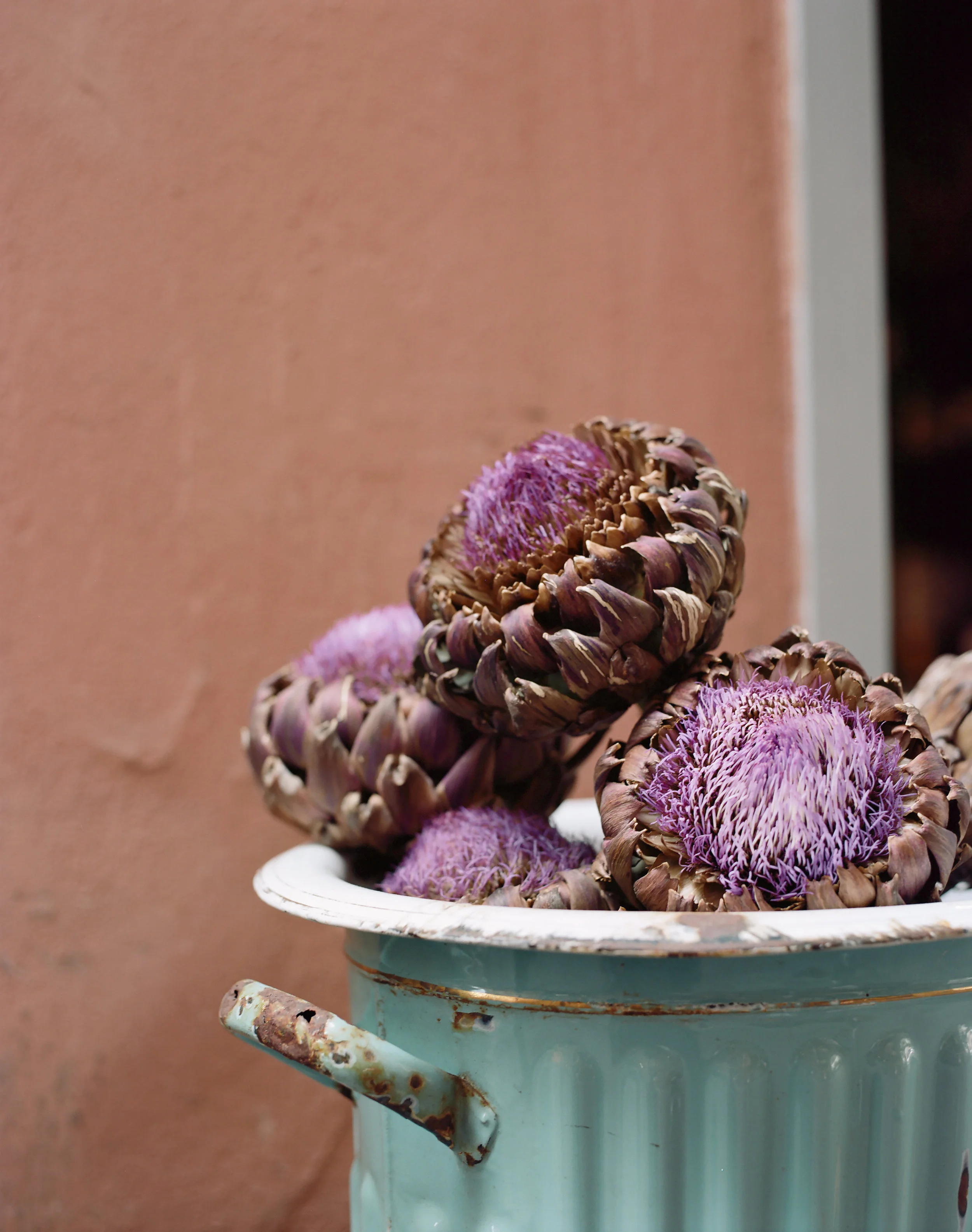 Flowering Artichoke Decoration