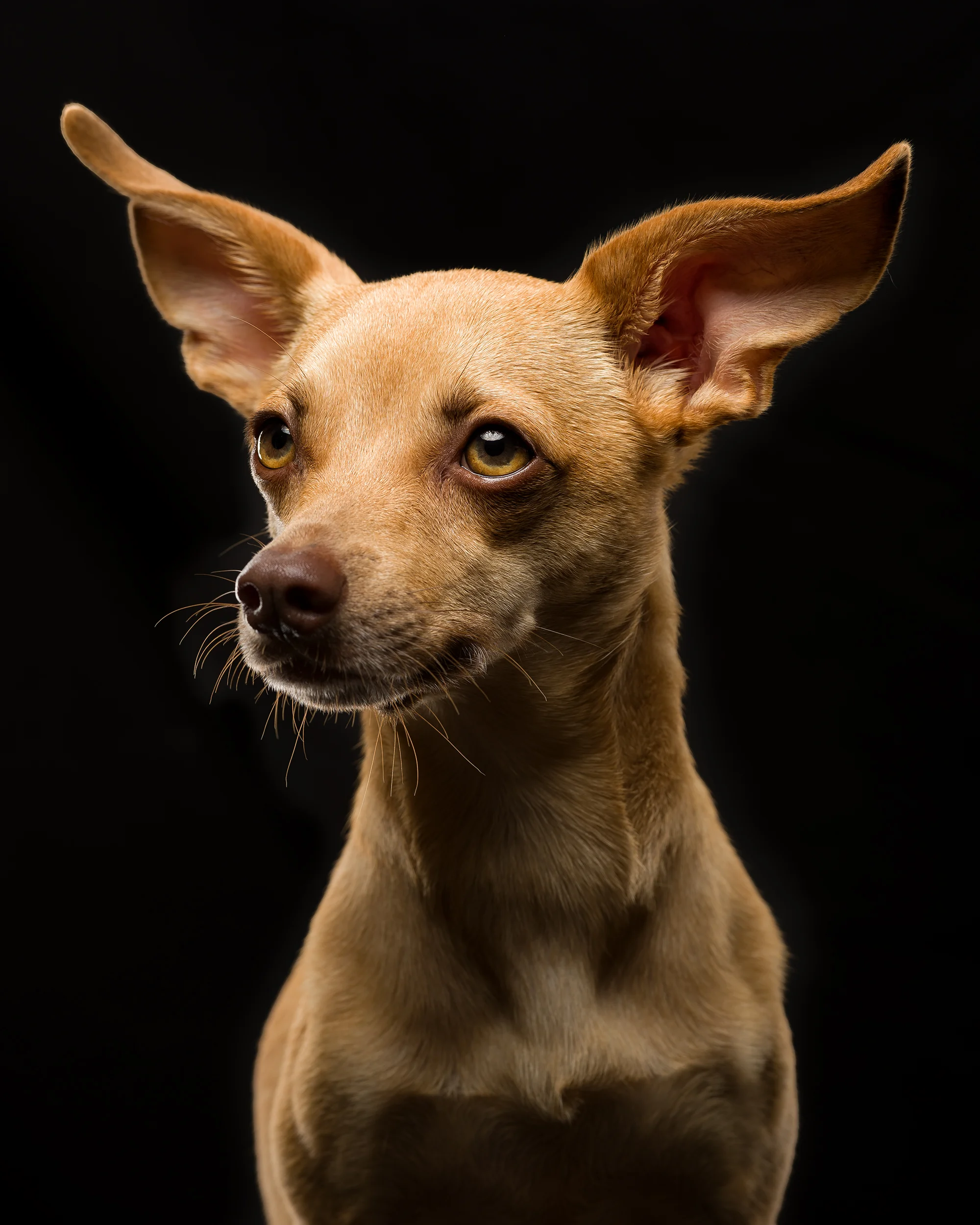 ROUX-163-tonal10-warmth10 copy.jpg