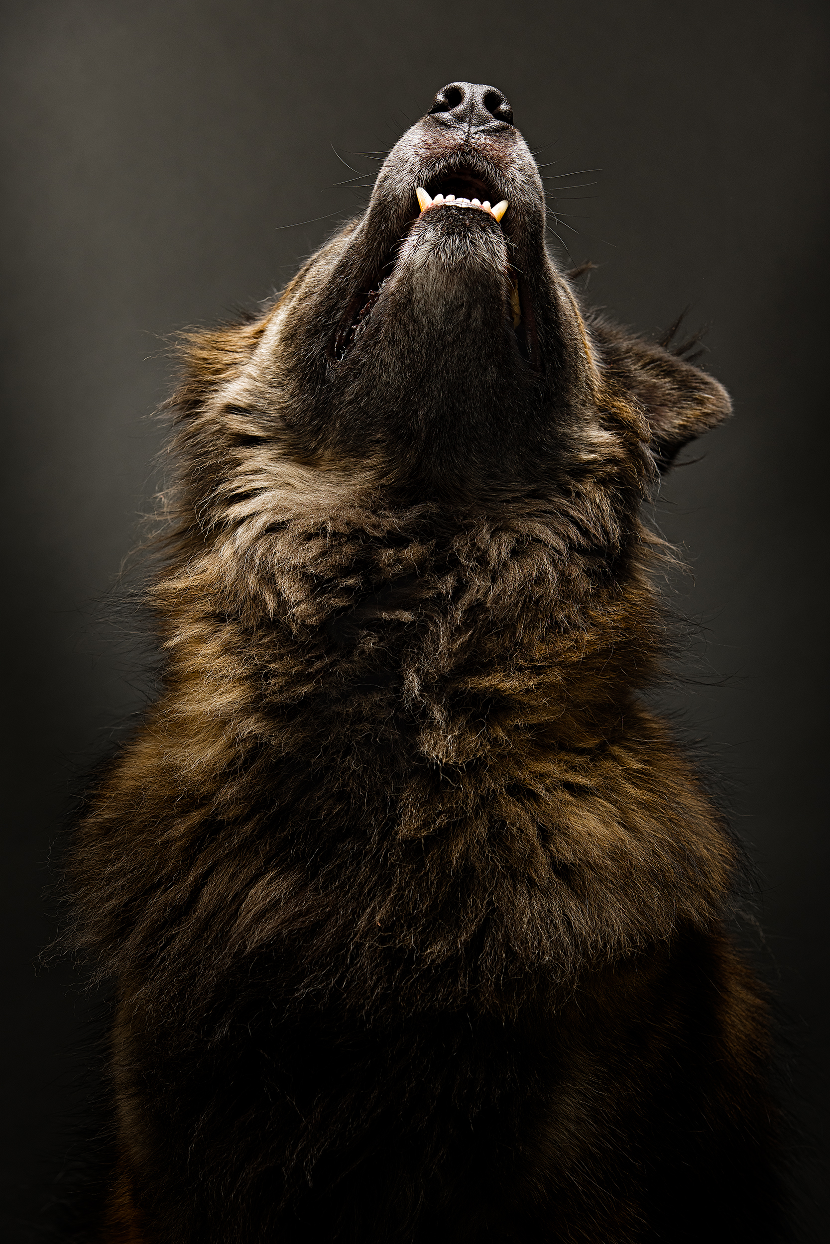 MCMENAMIN-467-tonal15-mic7-edit copy.jpg