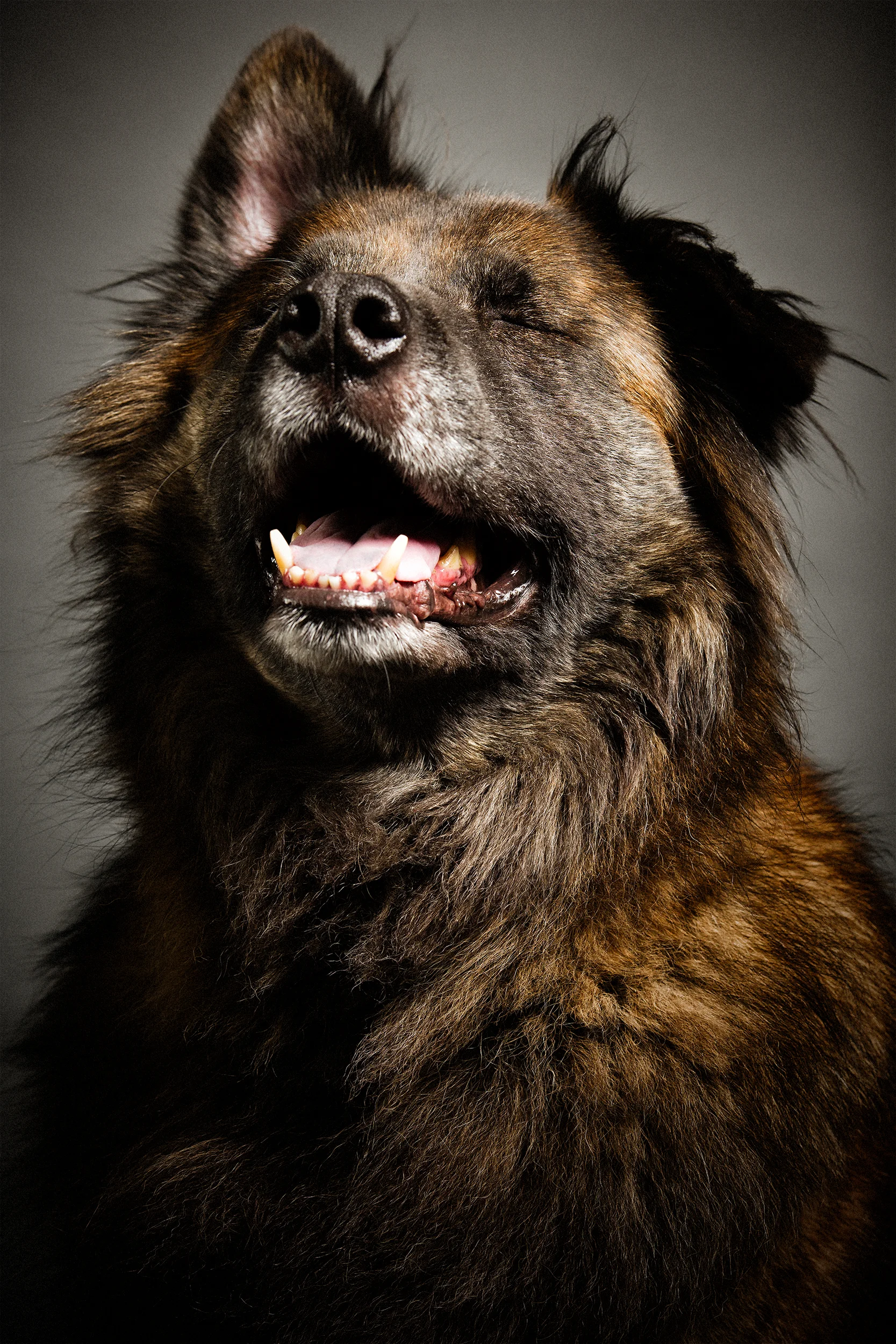 MCMENAMIN-266-tonal15-mic7 copy.jpg