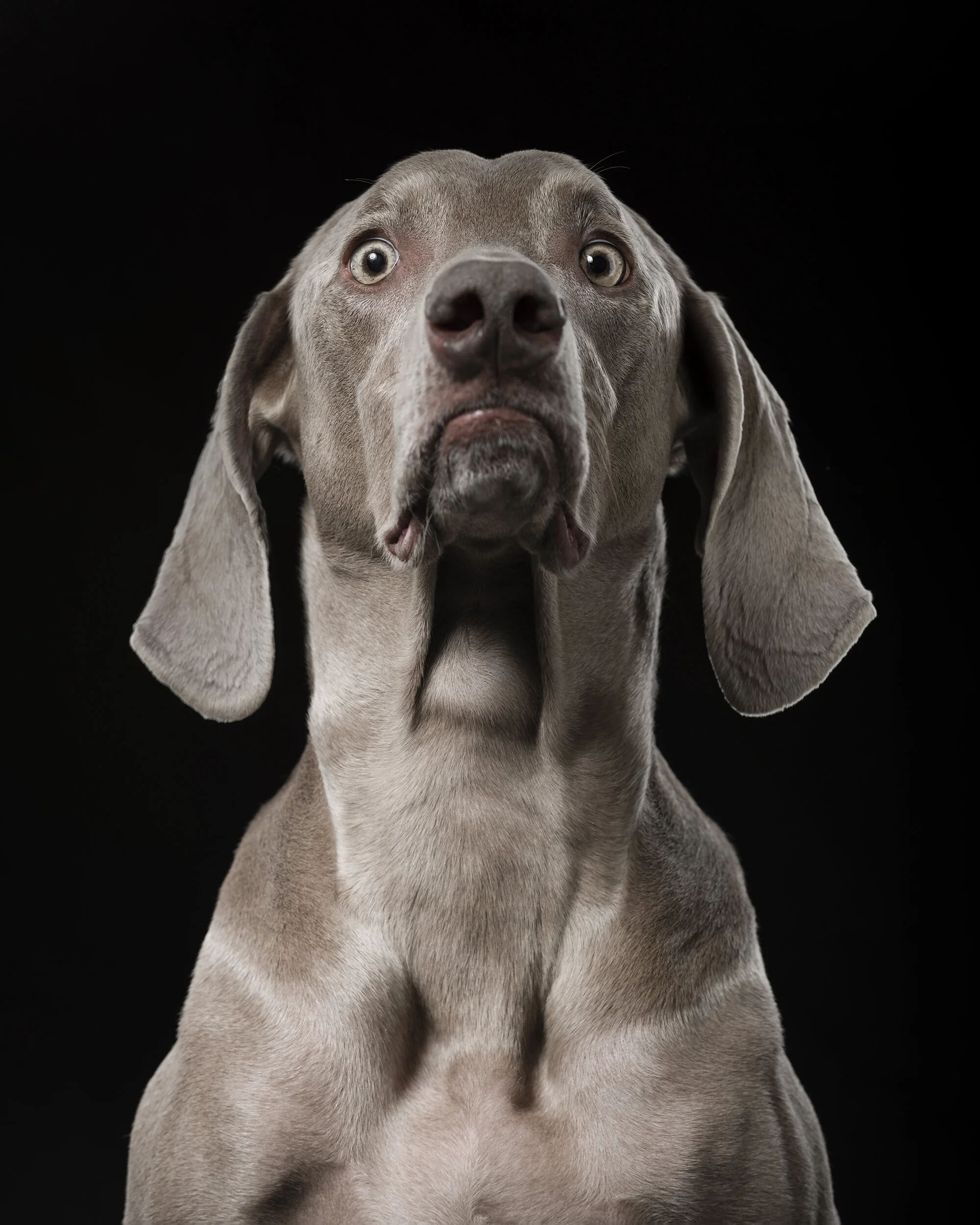 NORA_CLARK-166-tonal0-nora12 copy.jpg