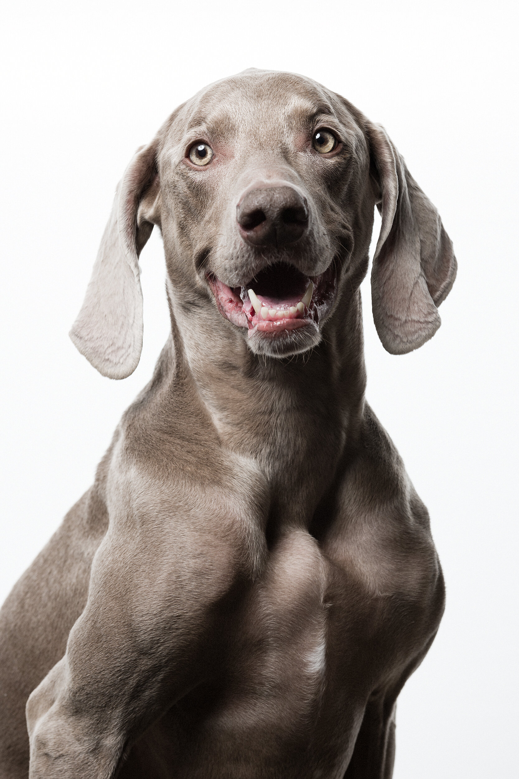 NORA_CLARK-137-tonal0-mora9-60 copy.jpg