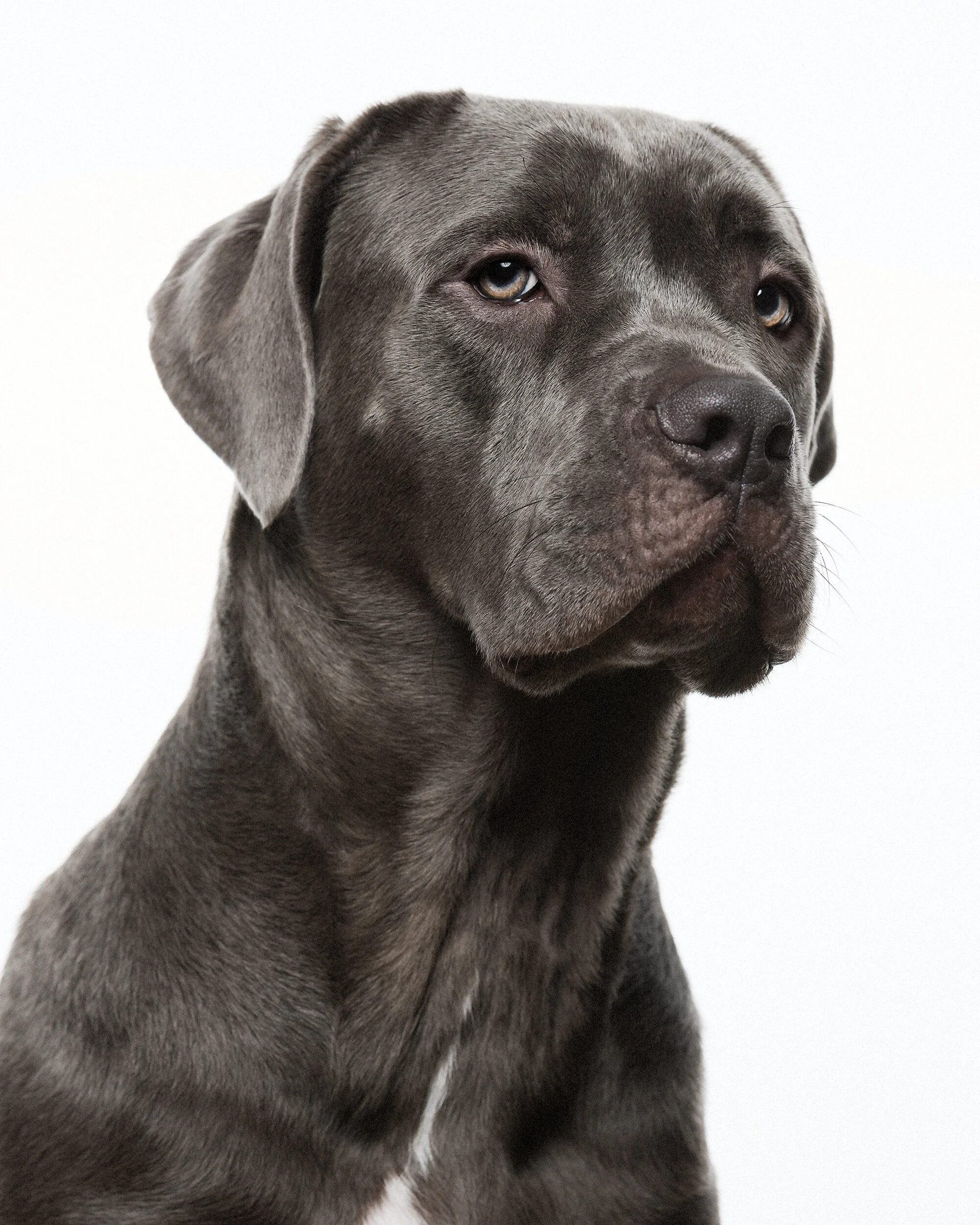 MAGS_ZEBLEY-083-tonal0-mags3 copy.jpg