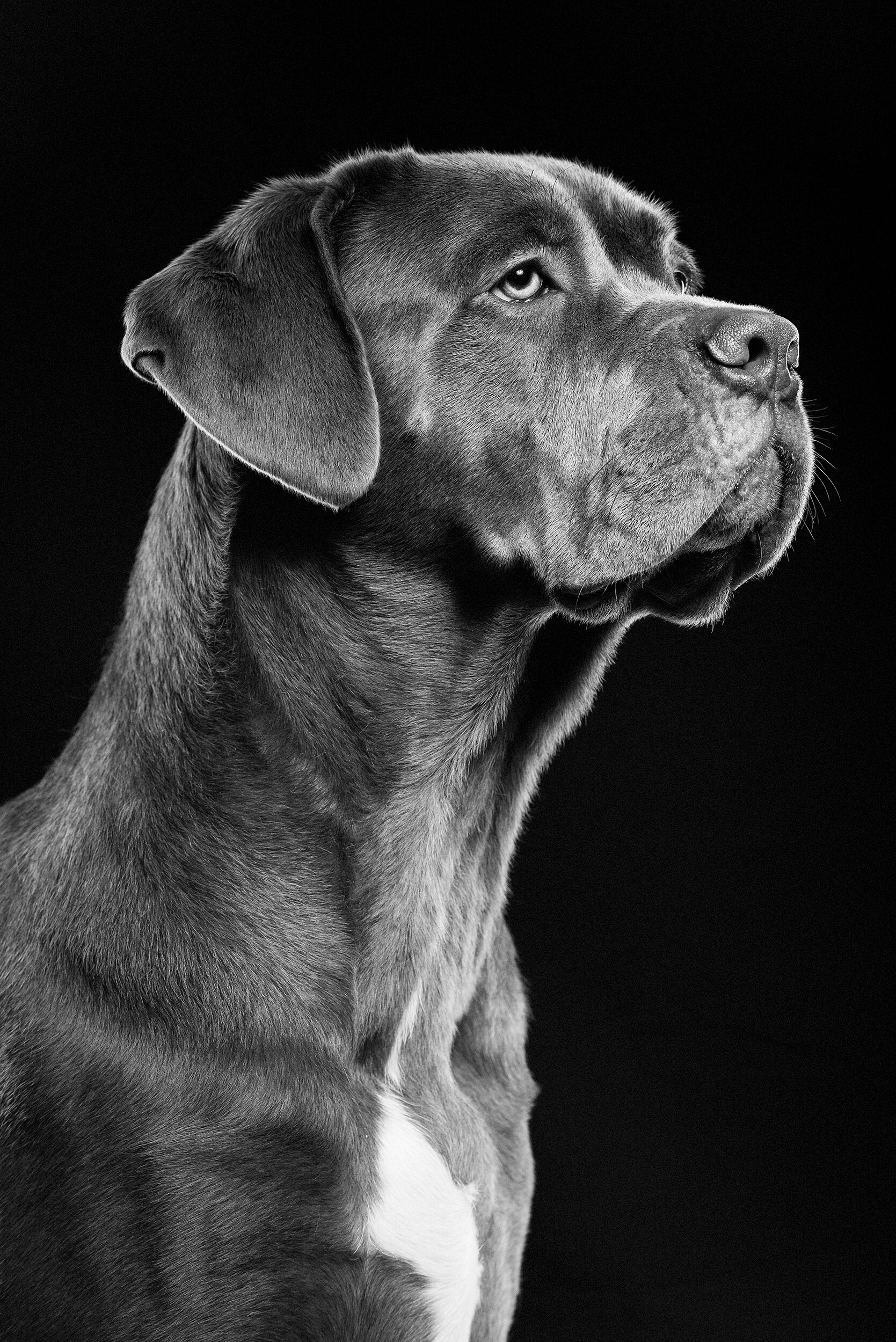 MAGS_ZEBLEY-135-tonal0-magsbw copy.jpg